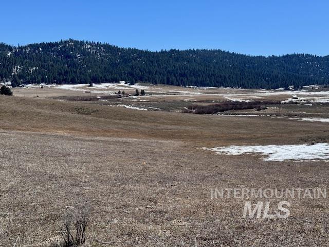 72 acres High Valley Rd, High Valley, Idaho 83611, Land For Sale, Price $520,000,MLS 98971434