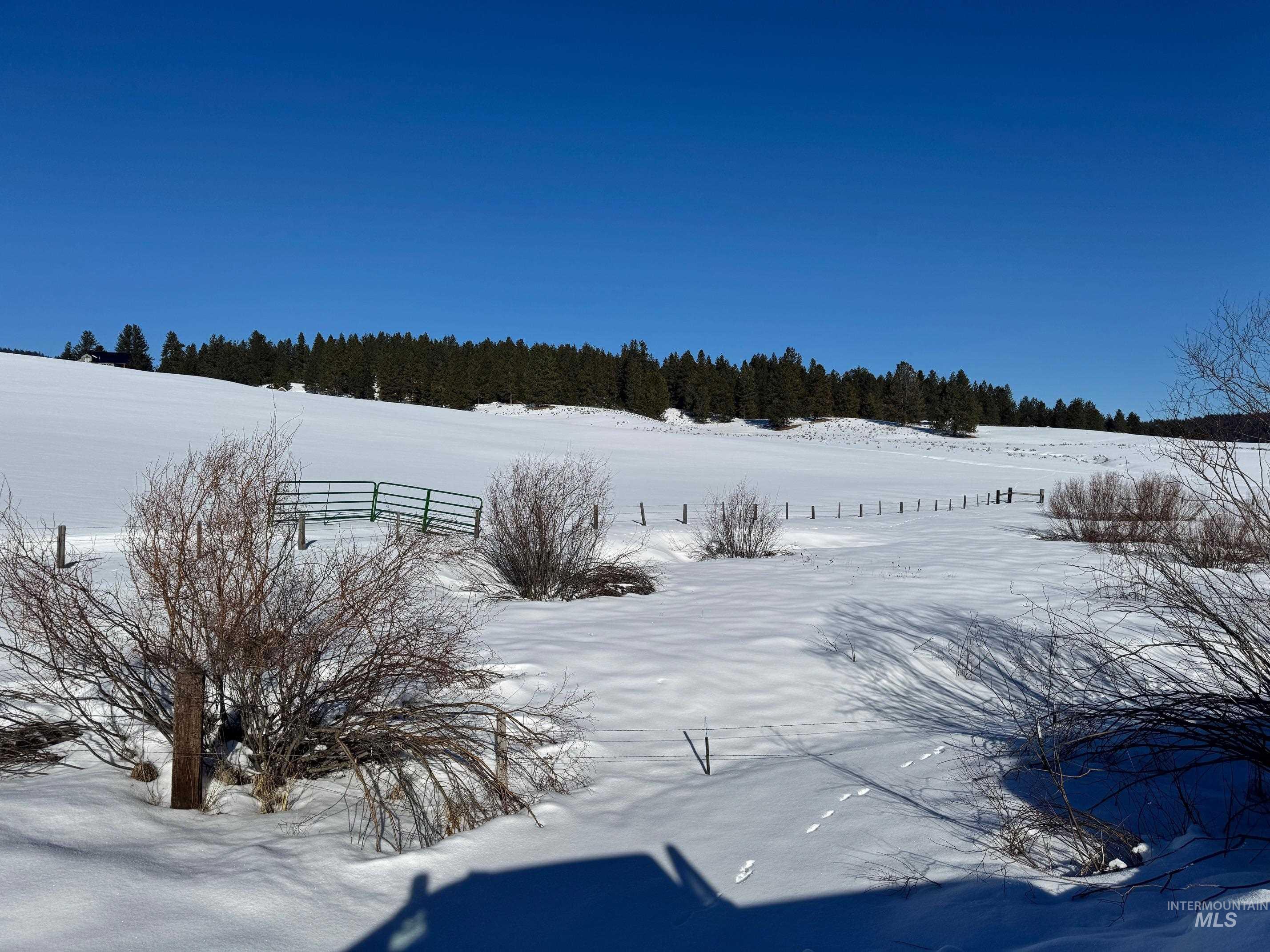 72 acres High Valley Rd, High Valley, Idaho 83611, Land For Sale, Price $520,000,MLS 98971434