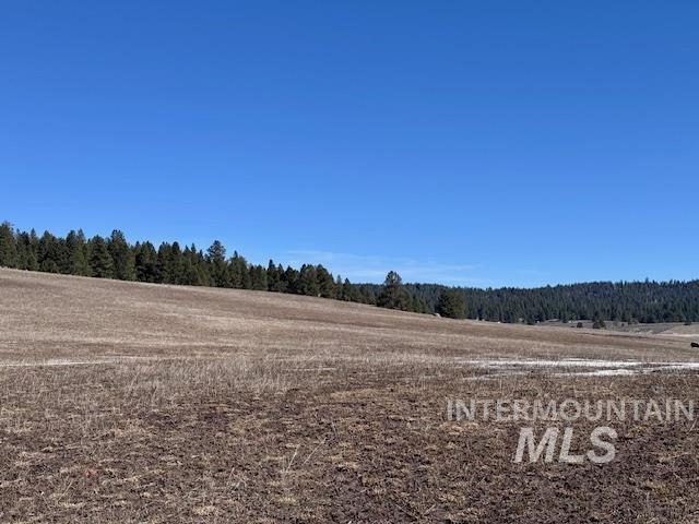 72 acres High Valley Rd, High Valley, Idaho 83611, Land For Sale, Price $520,000,MLS 98971434