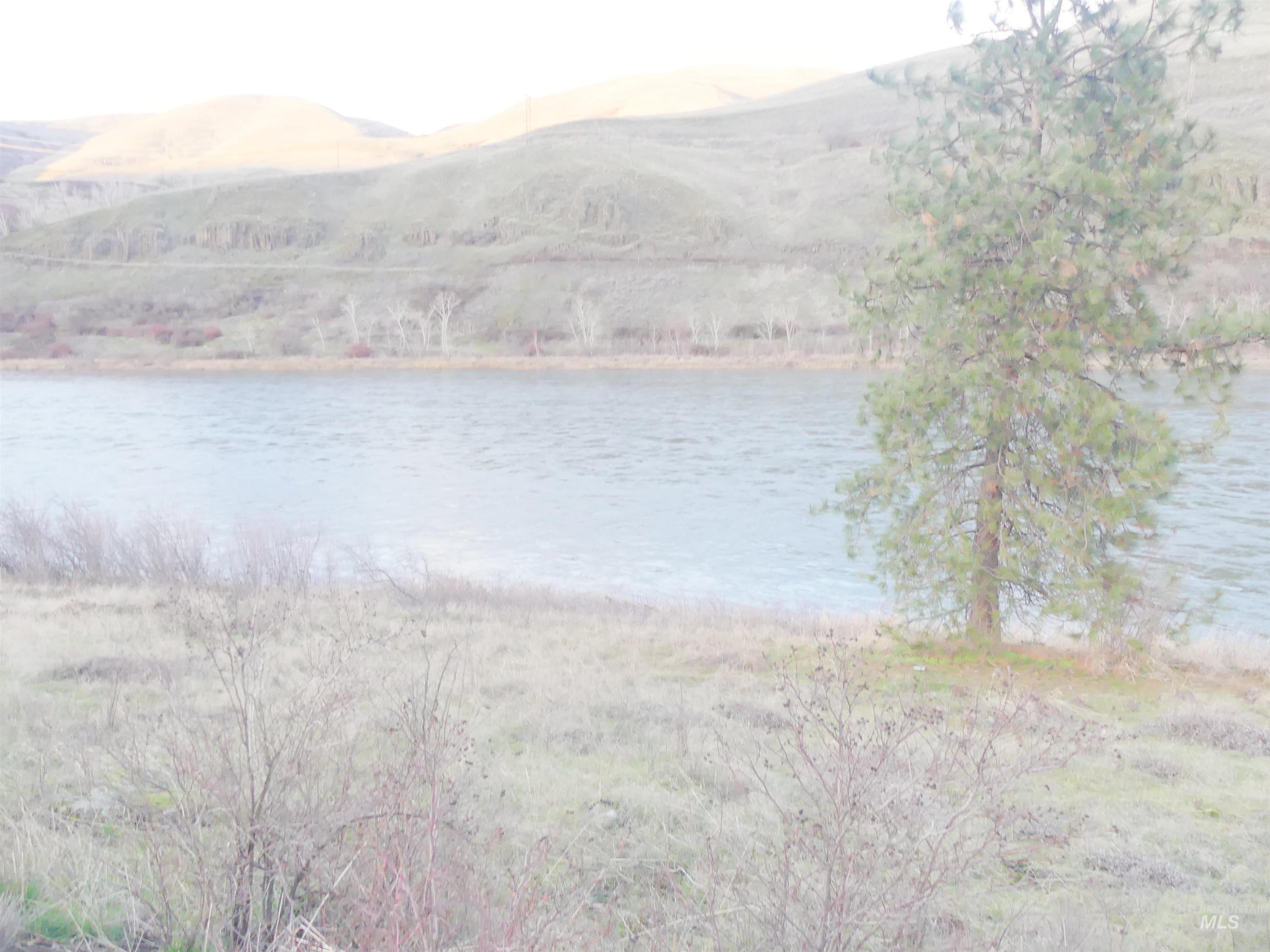 31404 Paradise Lane, Lenore, Idaho 83541, Land For Sale, Price $150,000,MLS 98971488