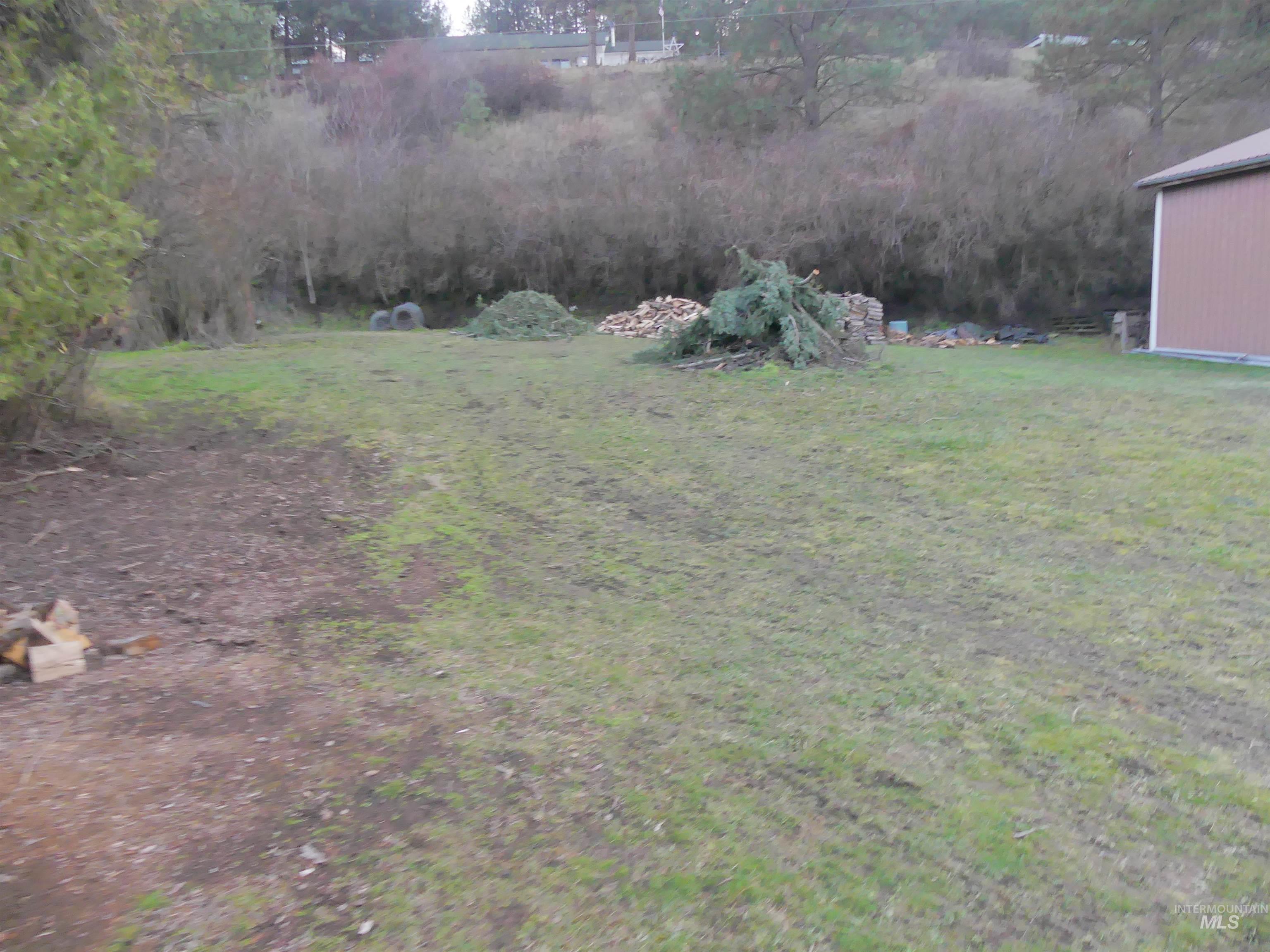 31404 Paradise Lane, Lenore, Idaho 83541, Land For Sale, Price $150,000,MLS 98971488