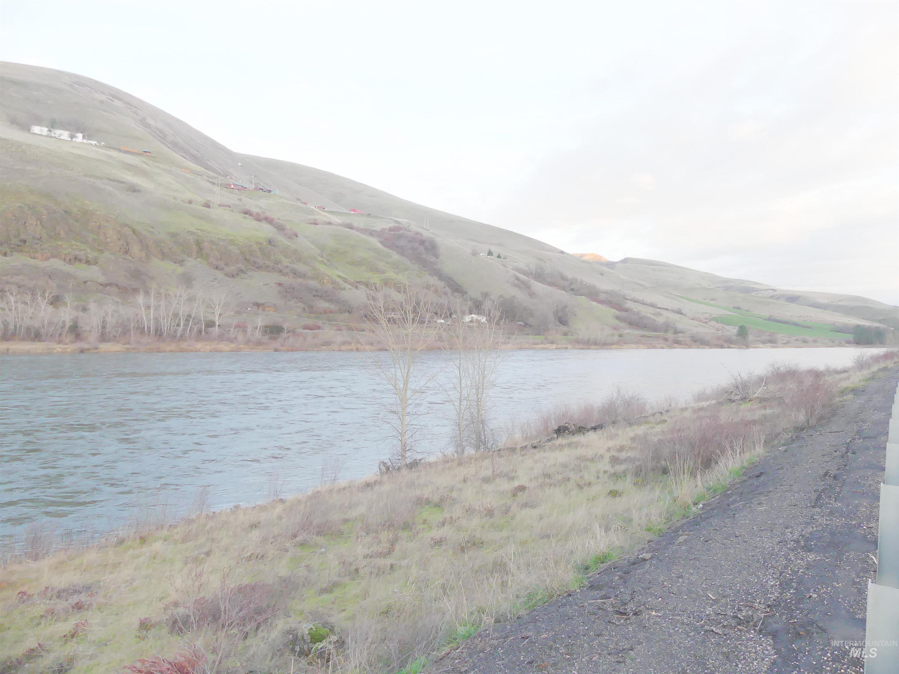 31404 Paradise Lane, Lenore, Idaho 83541, Land For Sale, Price $150,000,MLS 98971488