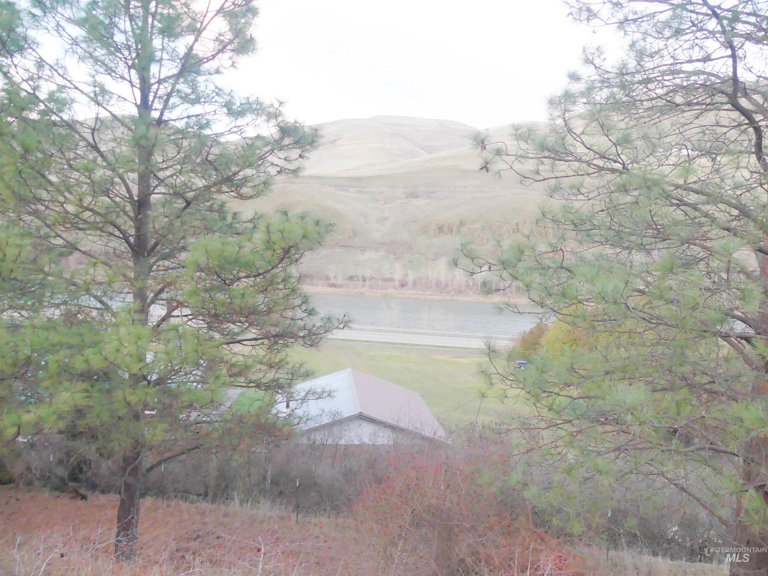 31404 Paradise Lane, Lenore, Idaho 83541, Land For Sale, Price $150,000,MLS 98971488
