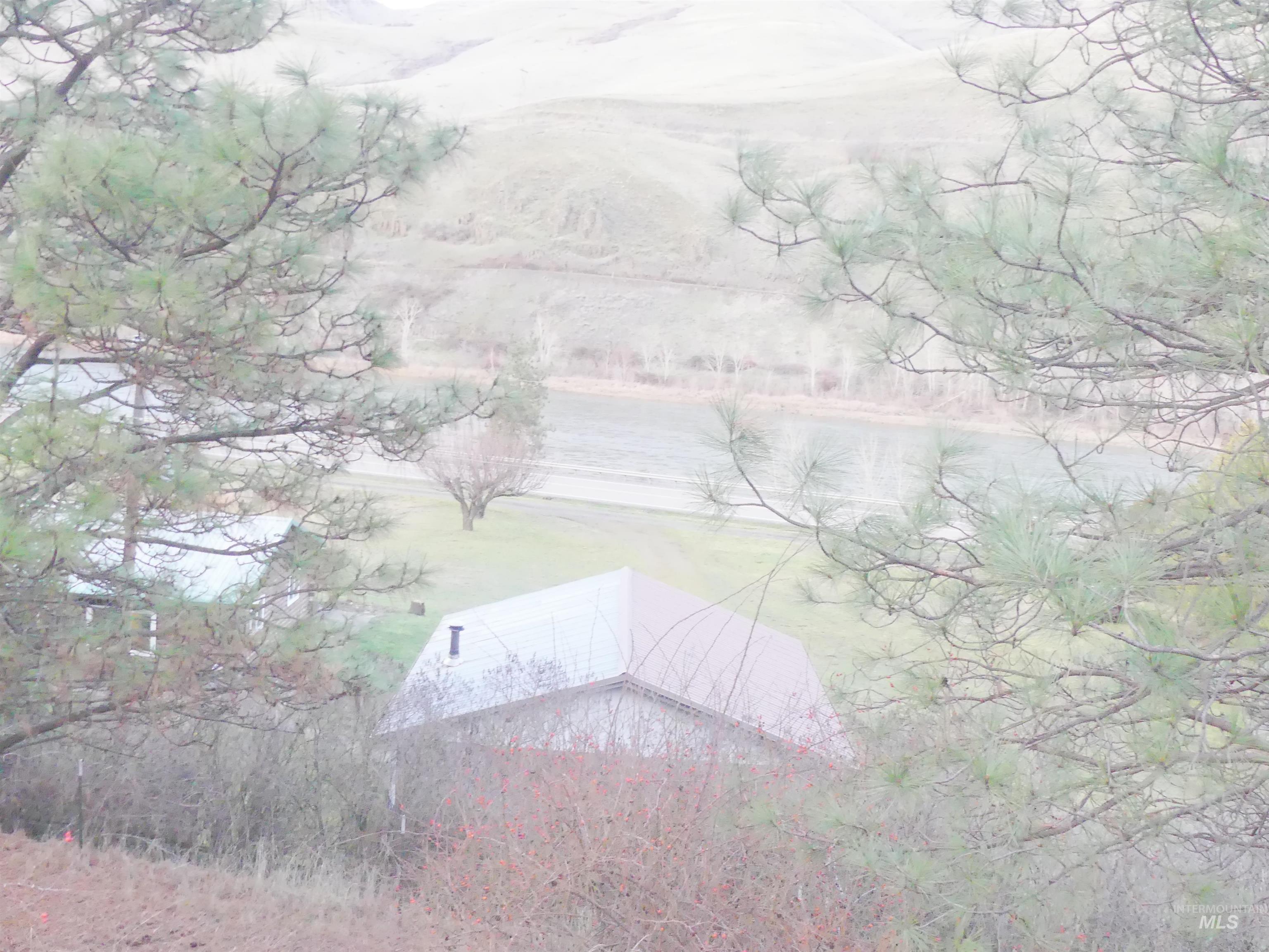 31404 Paradise Lane, Lenore, Idaho 83541, Land For Sale, Price $150,000,MLS 98971488