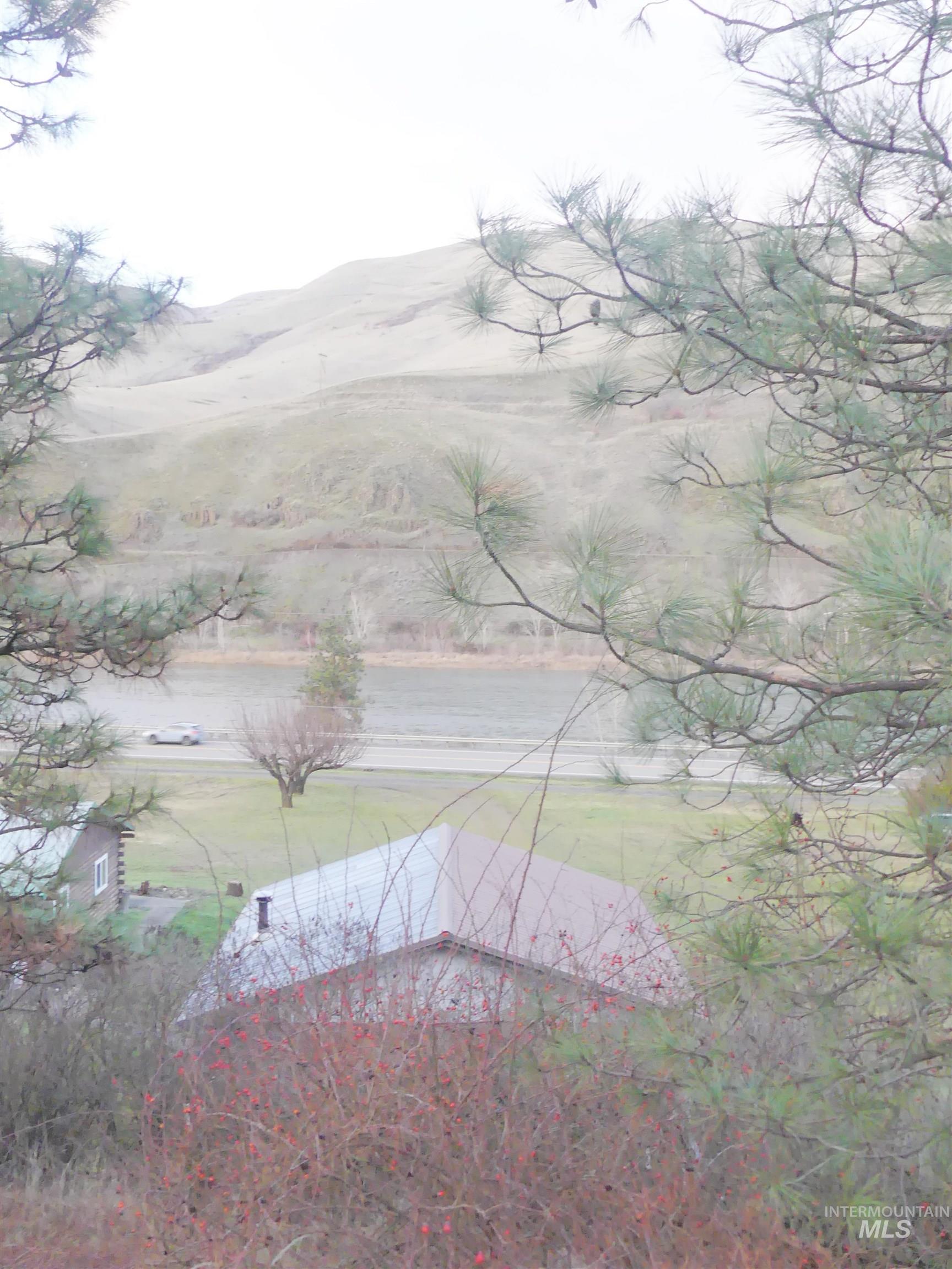 31404 Paradise Lane, Lenore, Idaho 83541, Land For Sale, Price $150,000,MLS 98971488