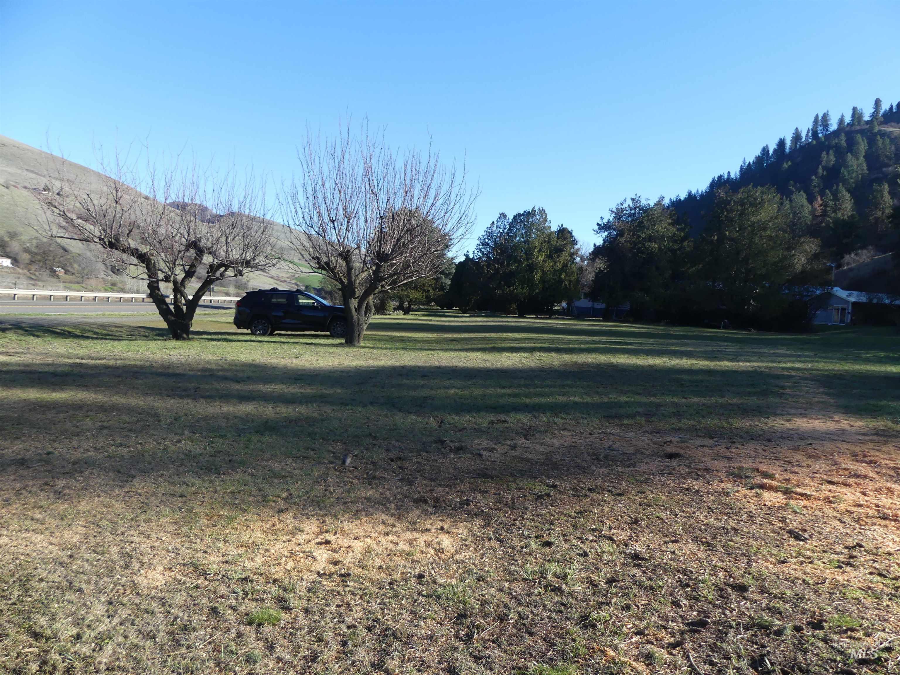 31404 Paradise Lane, Lenore, Idaho 83541, Land For Sale, Price $150,000,MLS 98971488