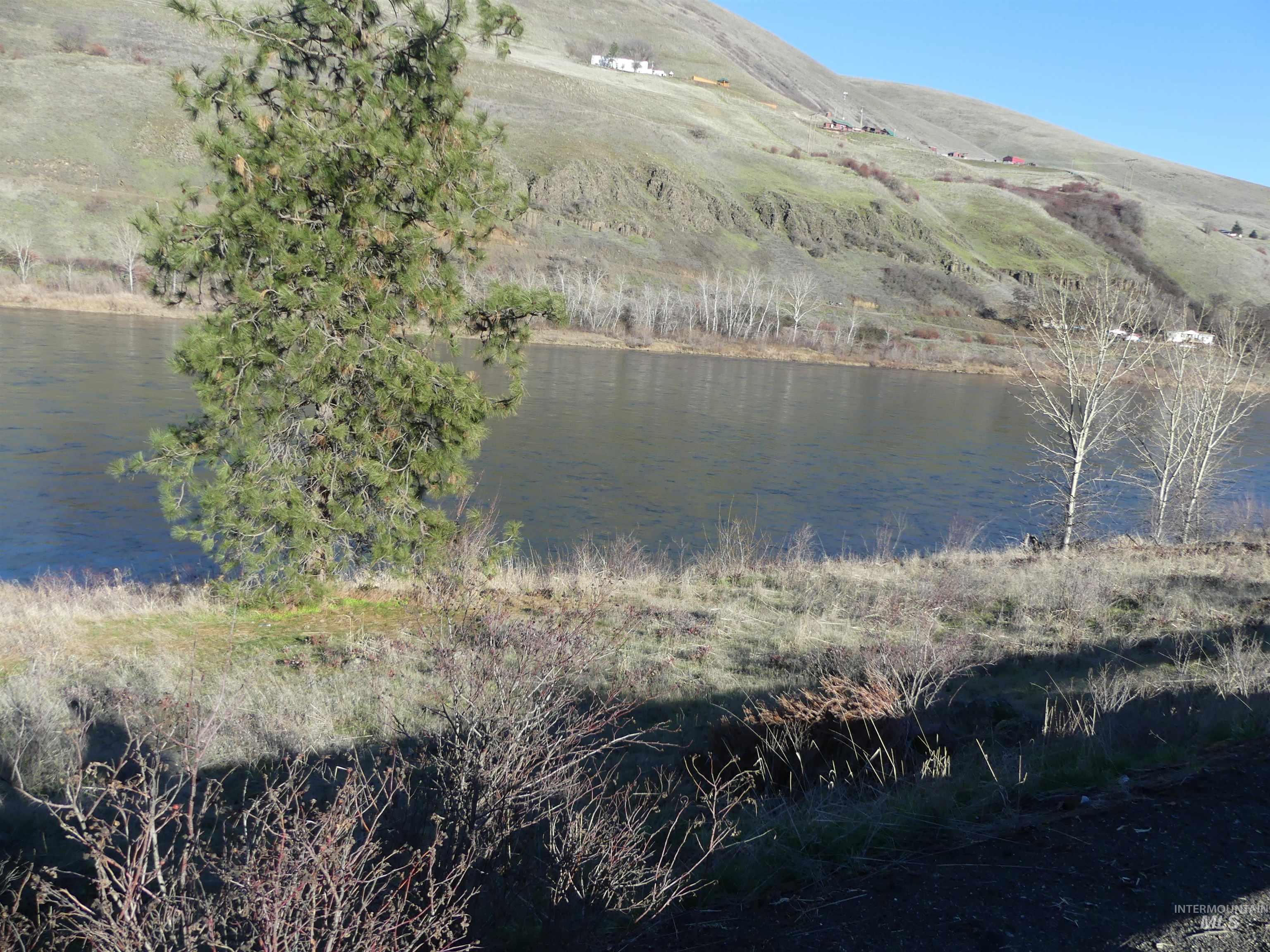 31404 Paradise Lane, Lenore, Idaho 83541, Land For Sale, Price $150,000,MLS 98971488