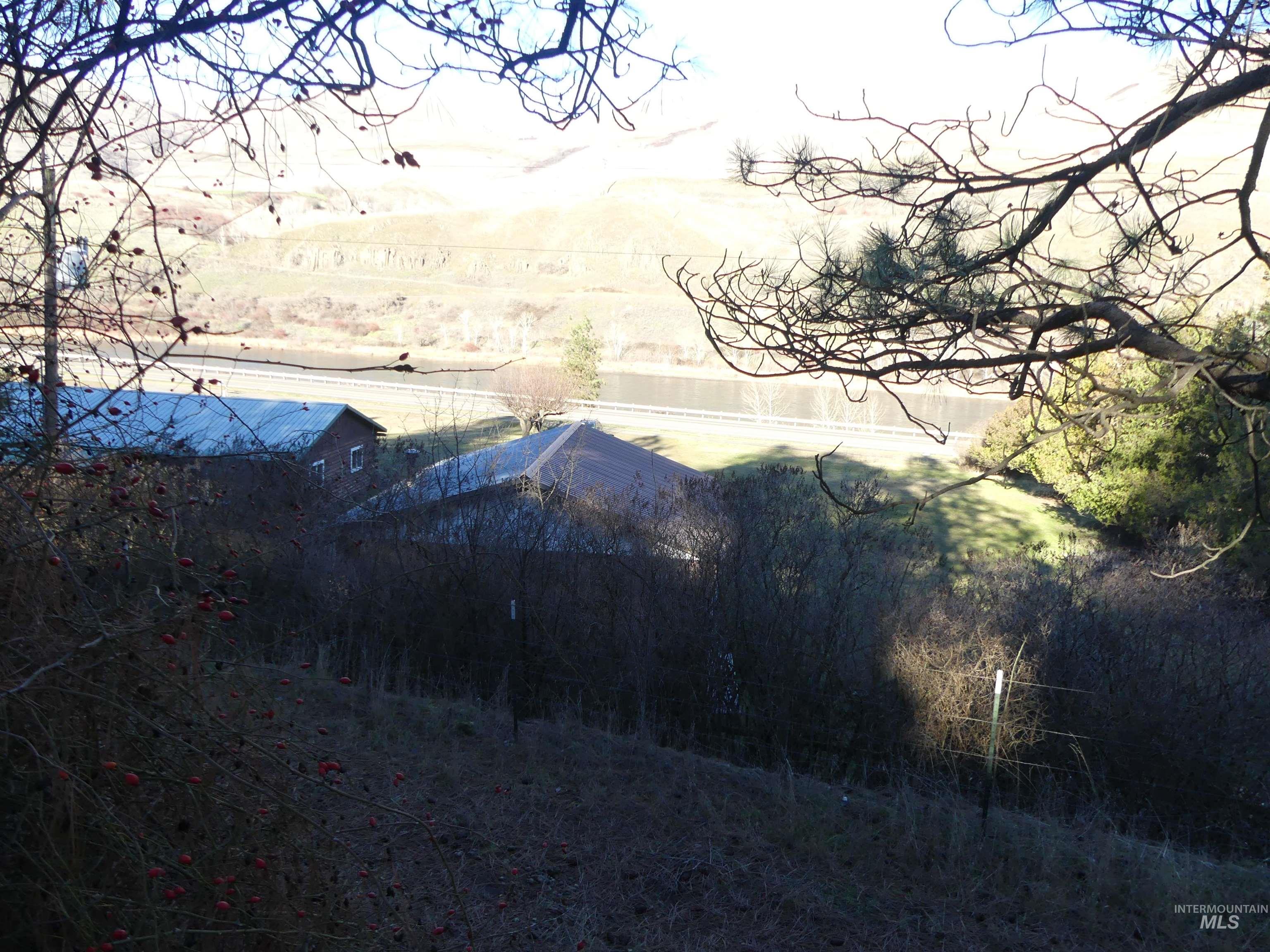 31404 Paradise Lane, Lenore, Idaho 83541, Land For Sale, Price $150,000,MLS 98971488