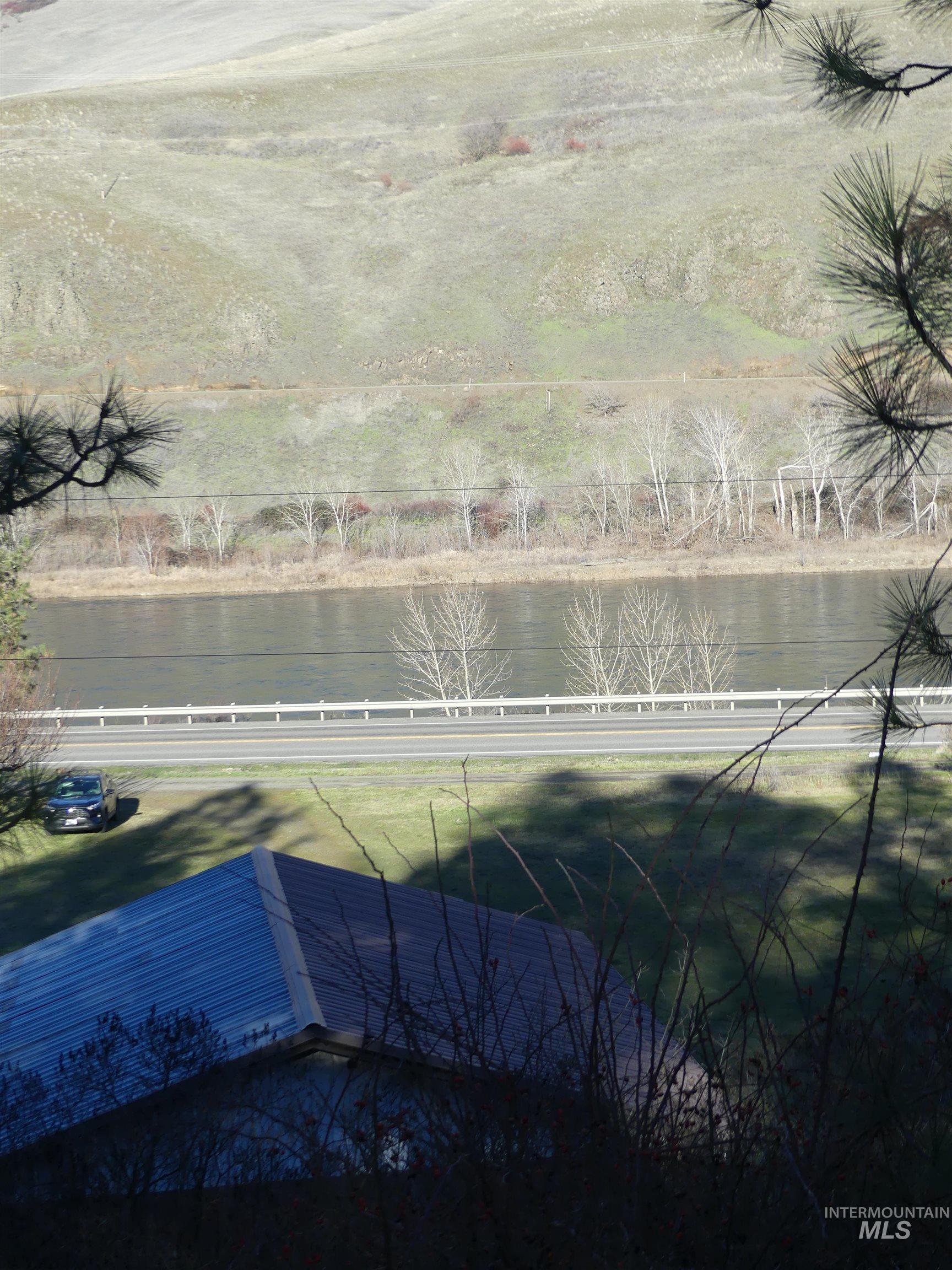 31404 Paradise Lane, Lenore, Idaho 83541, Land For Sale, Price $150,000,MLS 98971488