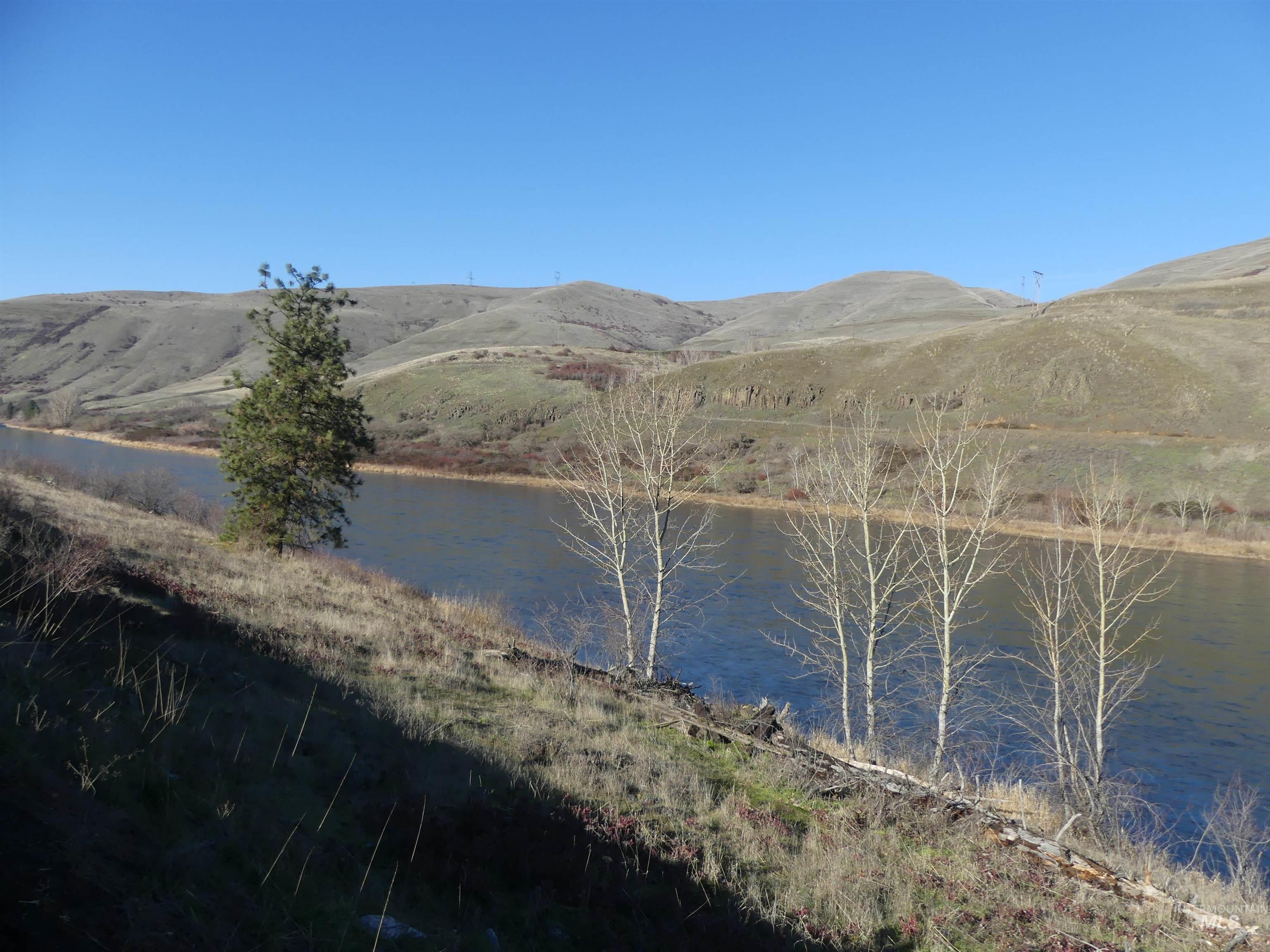 31404 Paradise Lane, Lenore, Idaho 83541, Land For Sale, Price $150,000,MLS 98971488