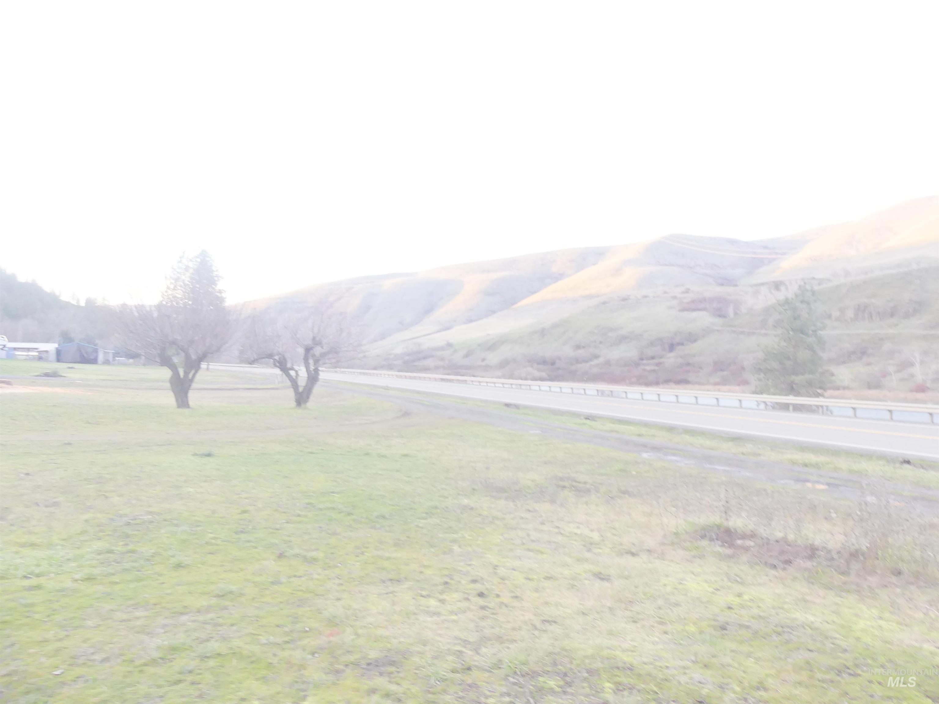 31404 Paradise Lane, Lenore, Idaho 83541, Land For Sale, Price $150,000,MLS 98971488