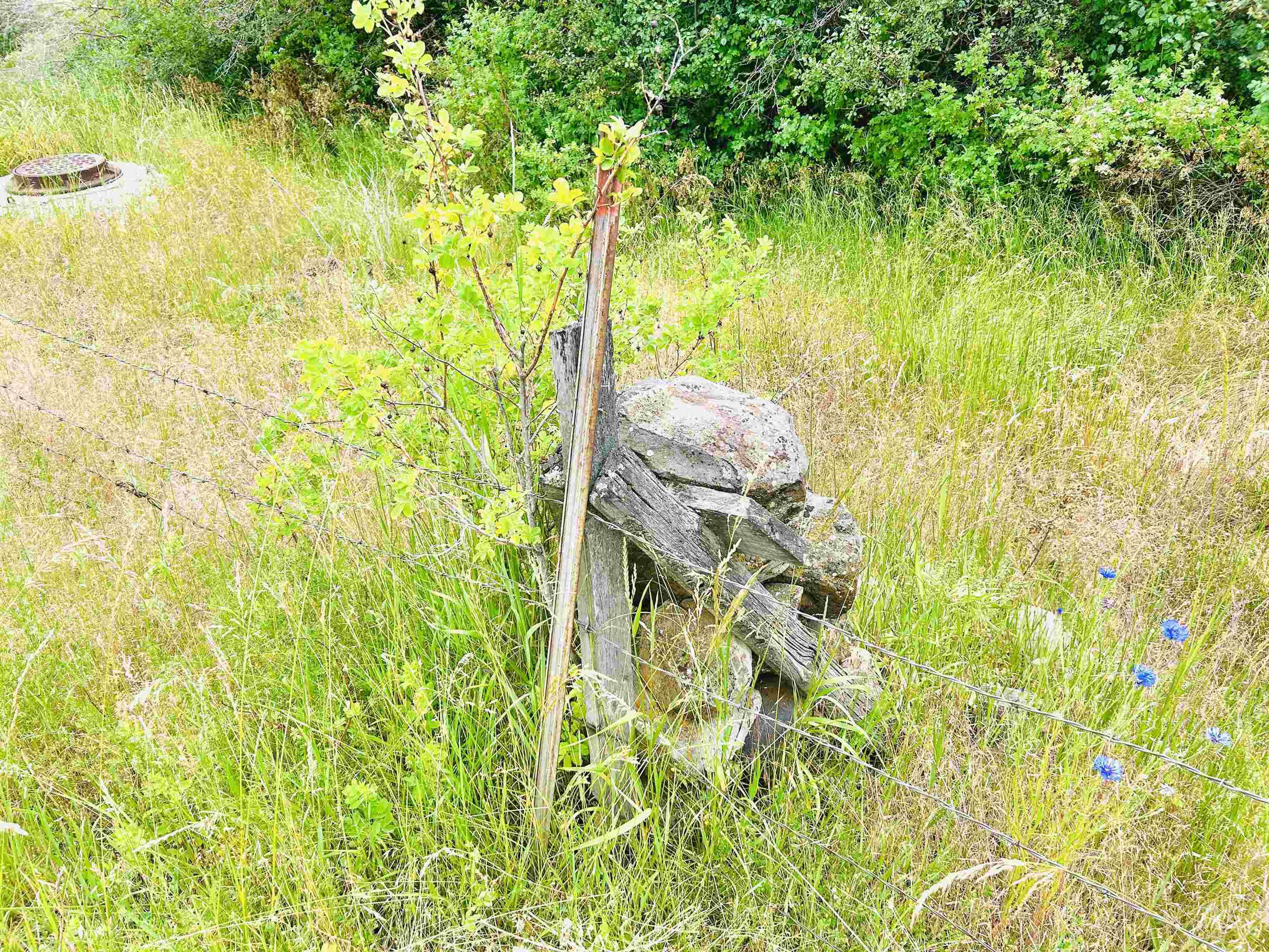 807 Trestle Drive, CottonWood, Idaho 83522, Land For Sale, Price $65,000,MLS 98971502