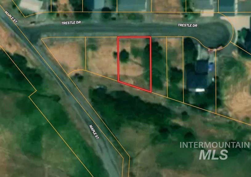 807 Trestle Drive, CottonWood, Idaho 83522, Land For Sale, Price $65,000,MLS 98971502