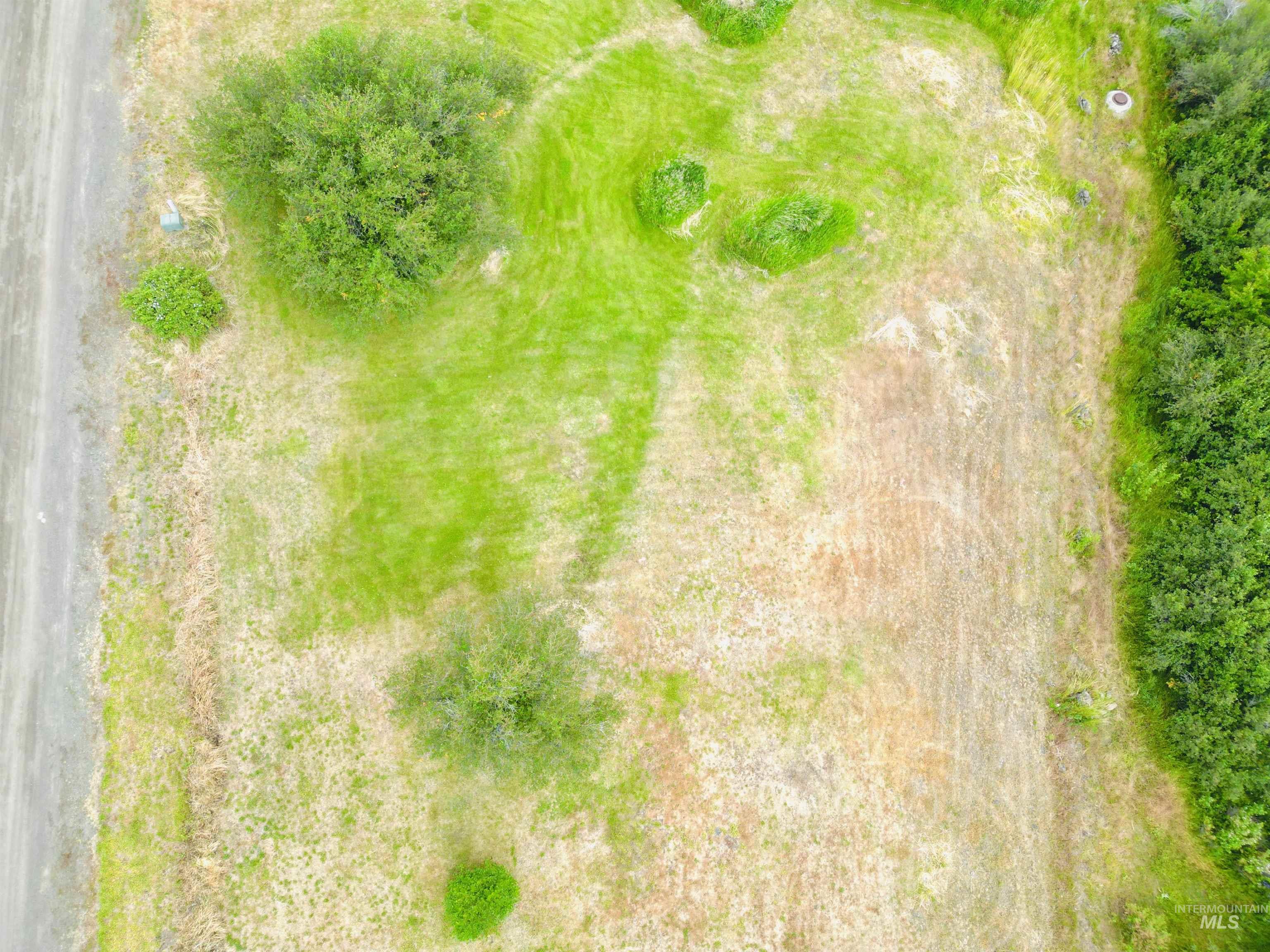 807 Trestle Drive, CottonWood, Idaho 83522, Land For Sale, Price $65,000,MLS 98971502