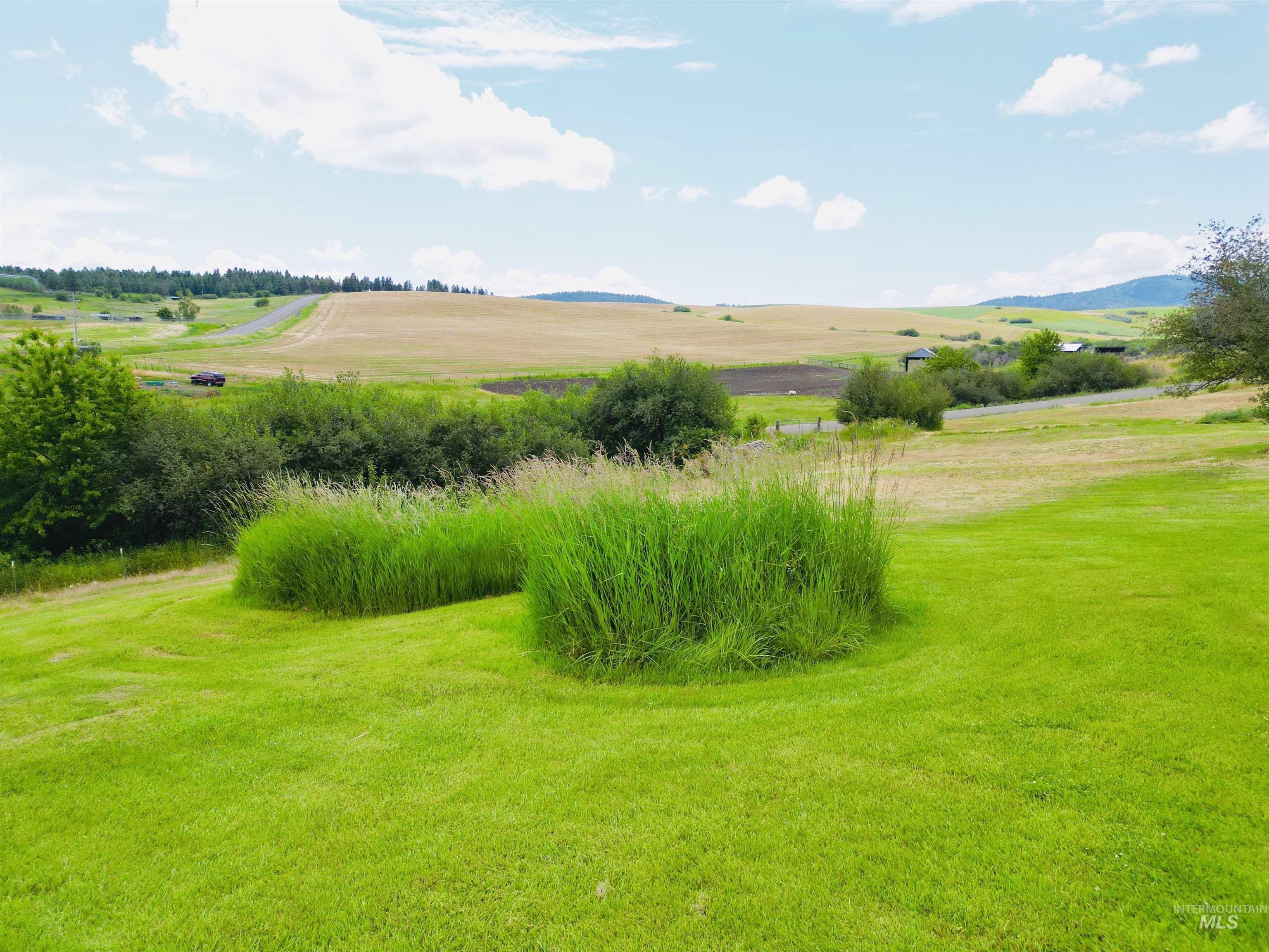 807 Trestle Drive, CottonWood, Idaho 83522, Land For Sale, Price $65,000,MLS 98971502