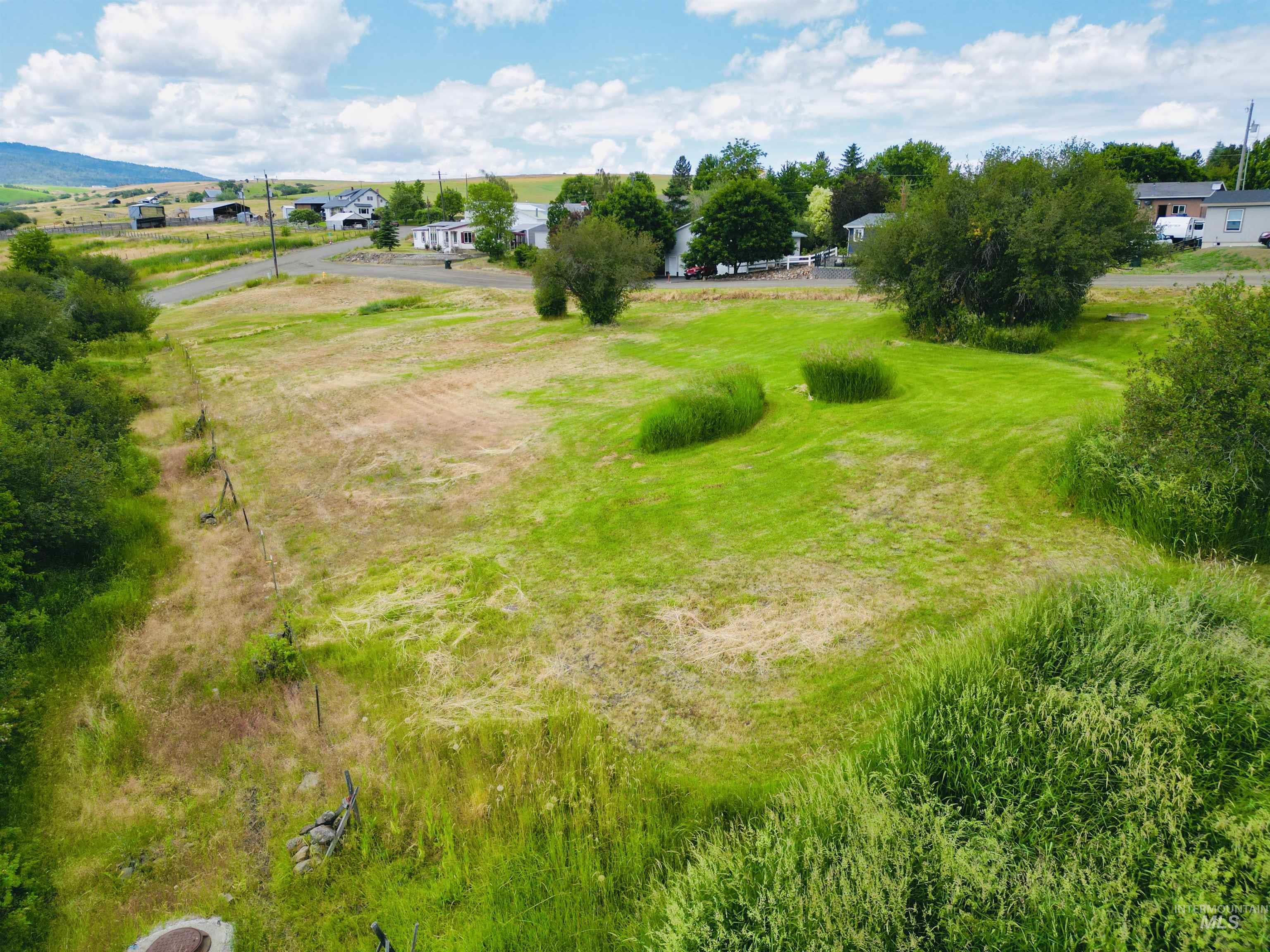 809 Trestle Drive, CottonWood, Idaho 83522, Land For Sale, Price $60,000,MLS 98971504