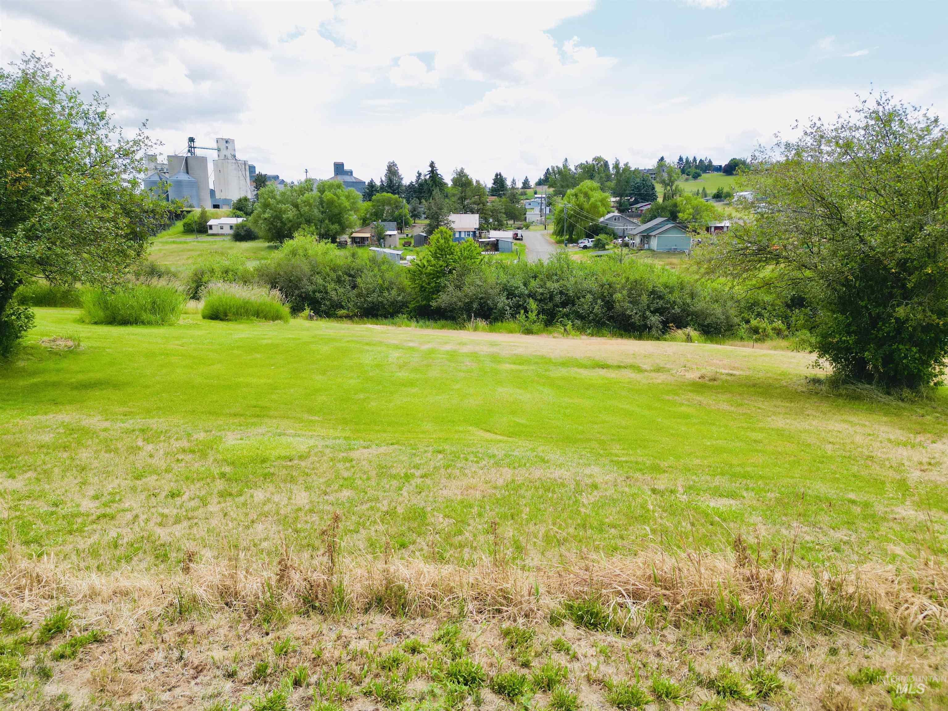 809 Trestle Drive, CottonWood, Idaho 83522, Land For Sale, Price $60,000,MLS 98971504