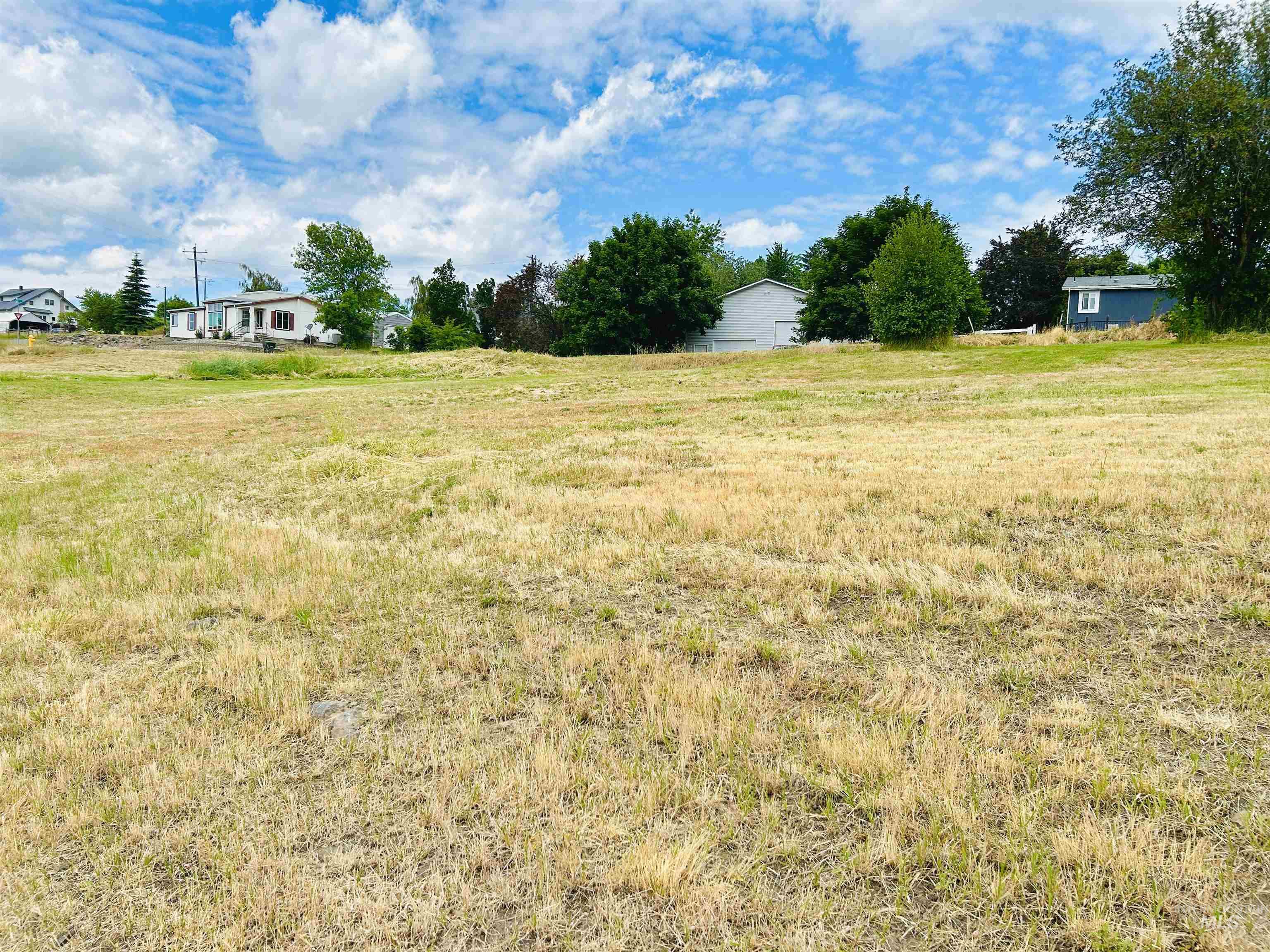 809 Trestle Drive, CottonWood, Idaho 83522, Land For Sale, Price $60,000, 98971504