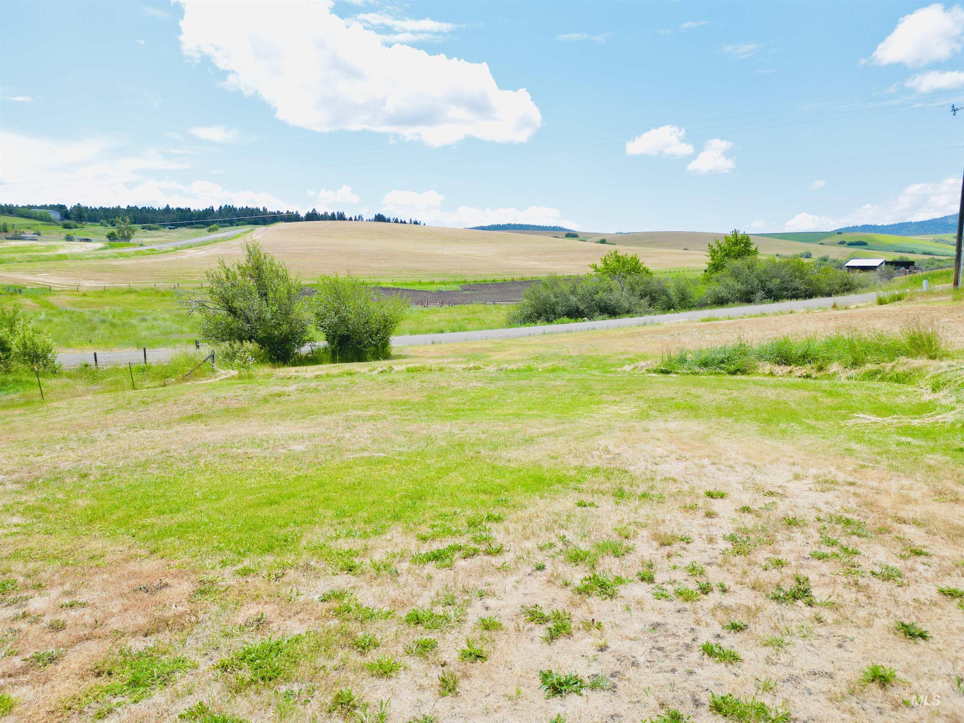 809 Trestle Drive, CottonWood, Idaho 83522, Land For Sale, Price $60,000,MLS 98971504