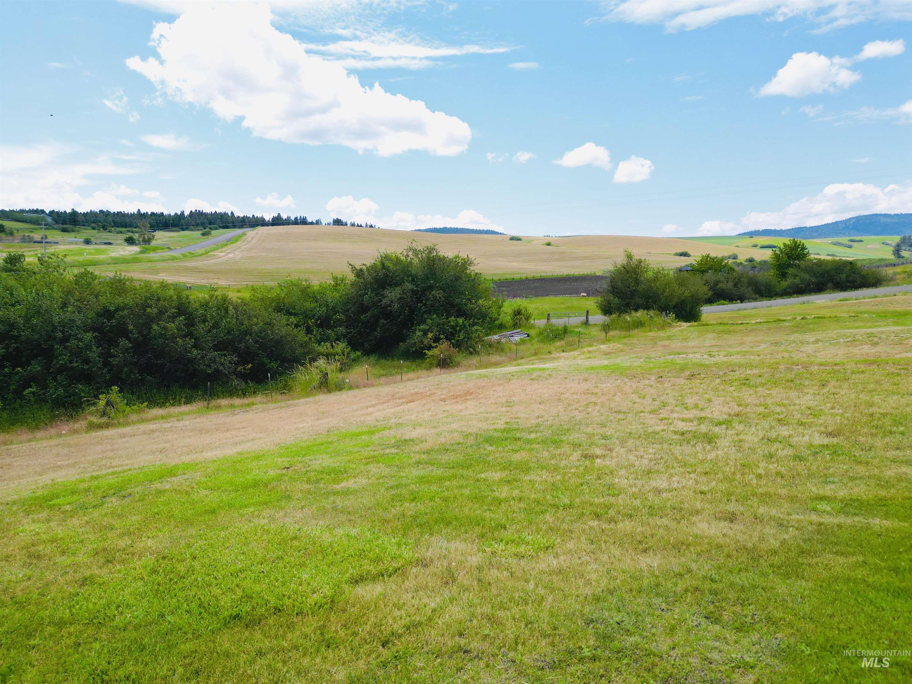 809 Trestle Drive, CottonWood, Idaho 83522, Land For Sale, Price $60,000, 98971504