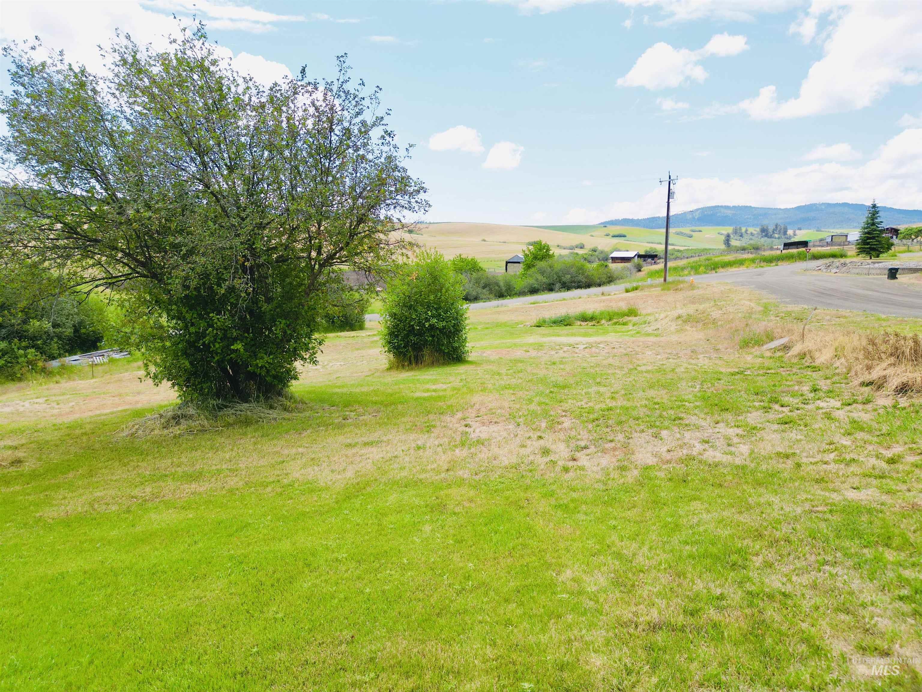 809 Trestle Drive, CottonWood, Idaho 83522, Land For Sale, Price $60,000,MLS 98971504