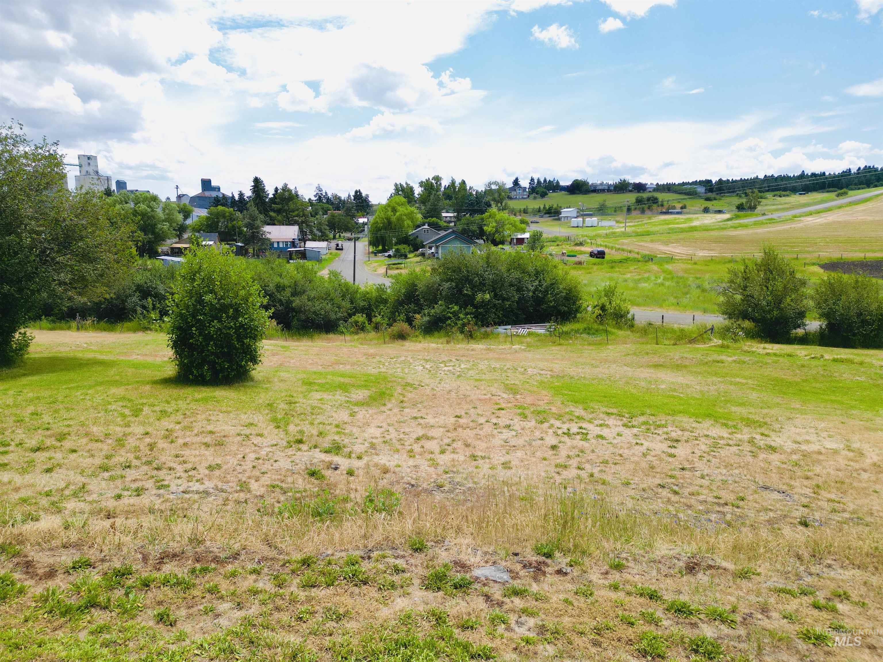 809 Trestle Drive, CottonWood, Idaho 83522, Land For Sale, Price $60,000, 98971504