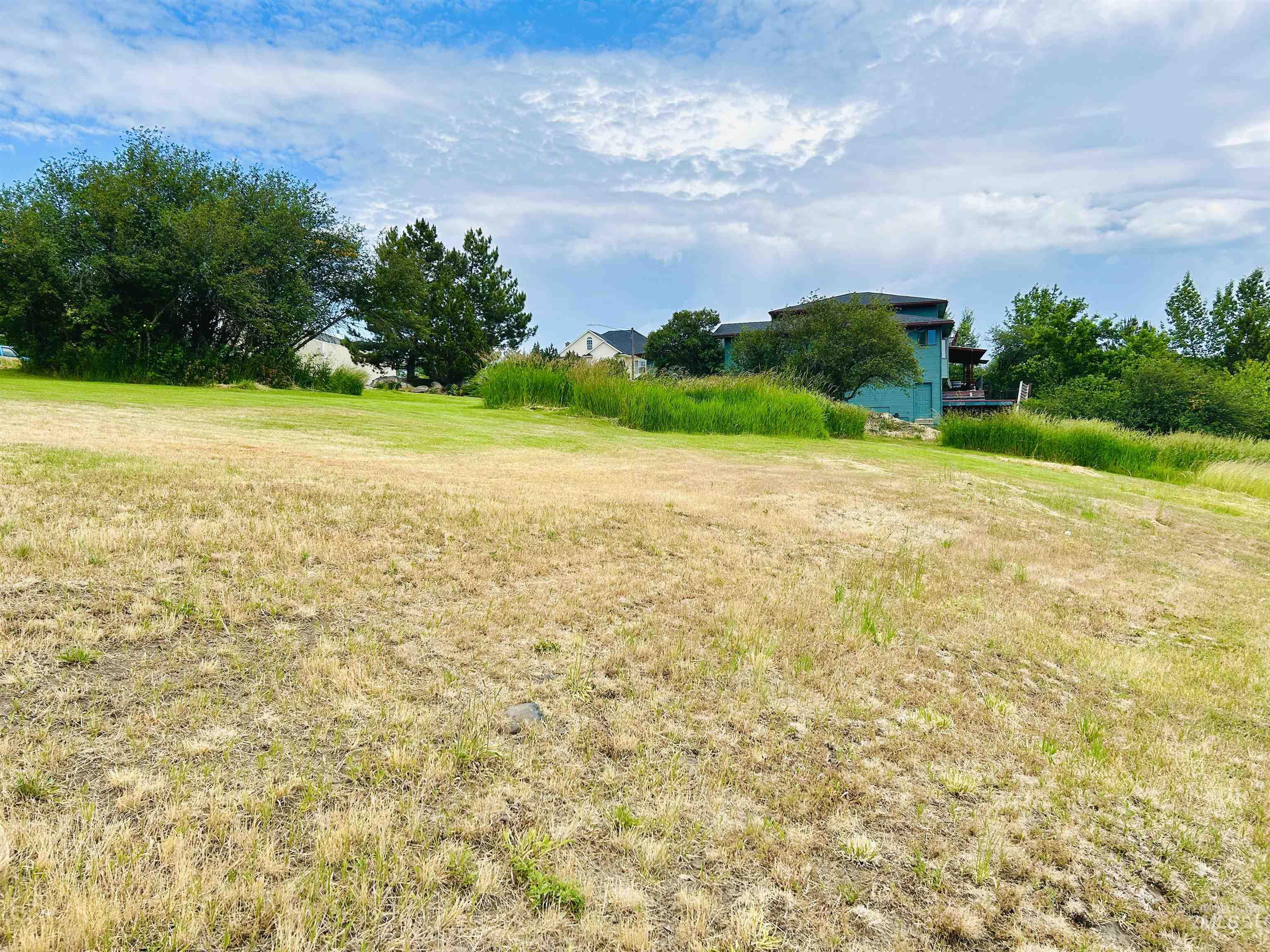 809 Trestle Drive, CottonWood, Idaho 83522, Land For Sale, Price $60,000, 98971504