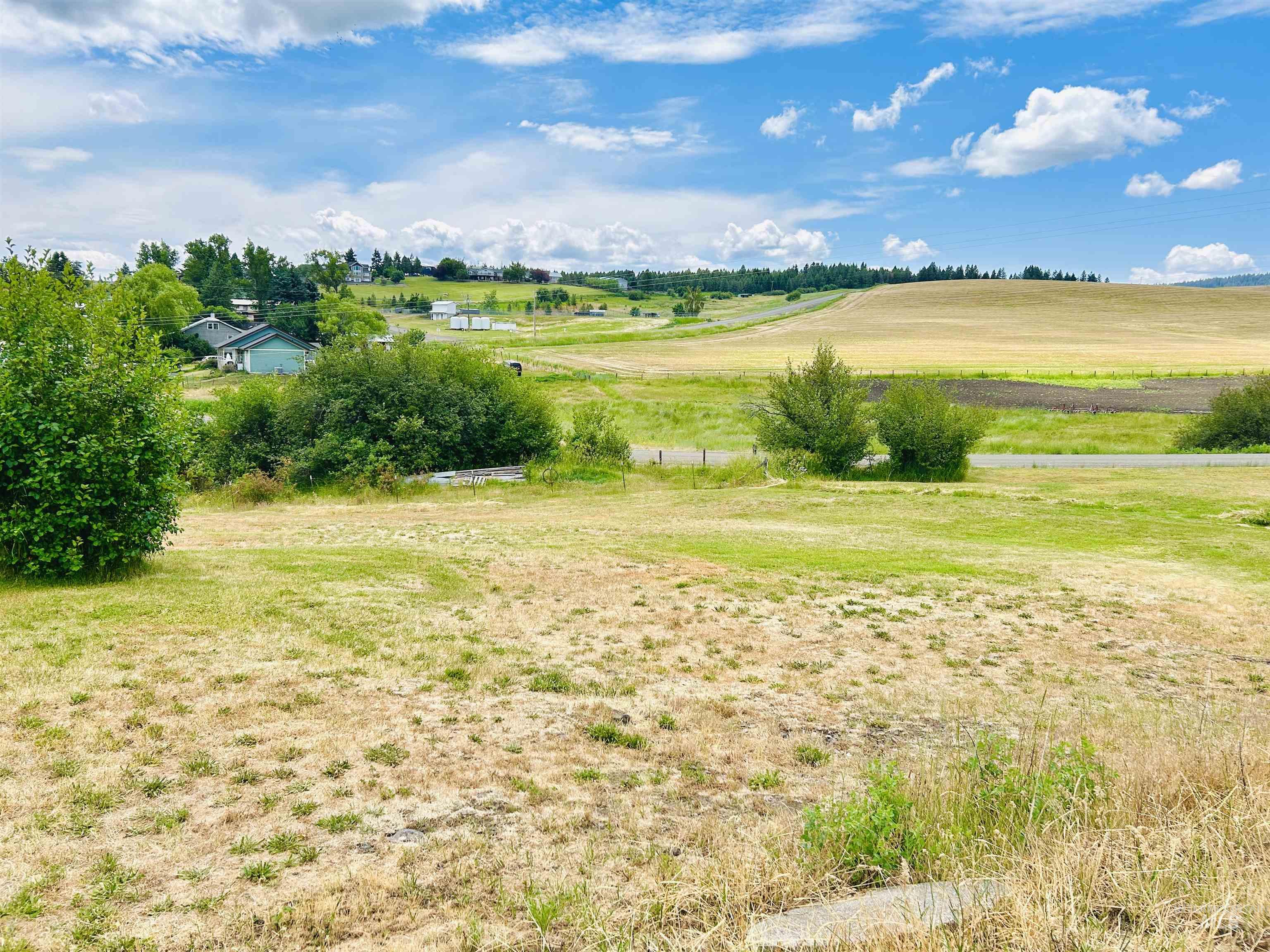 807 & 809 Trestle Drive, CottonWood, Idaho 83522, Land For Sale, Price $118,000,MLS 98971505