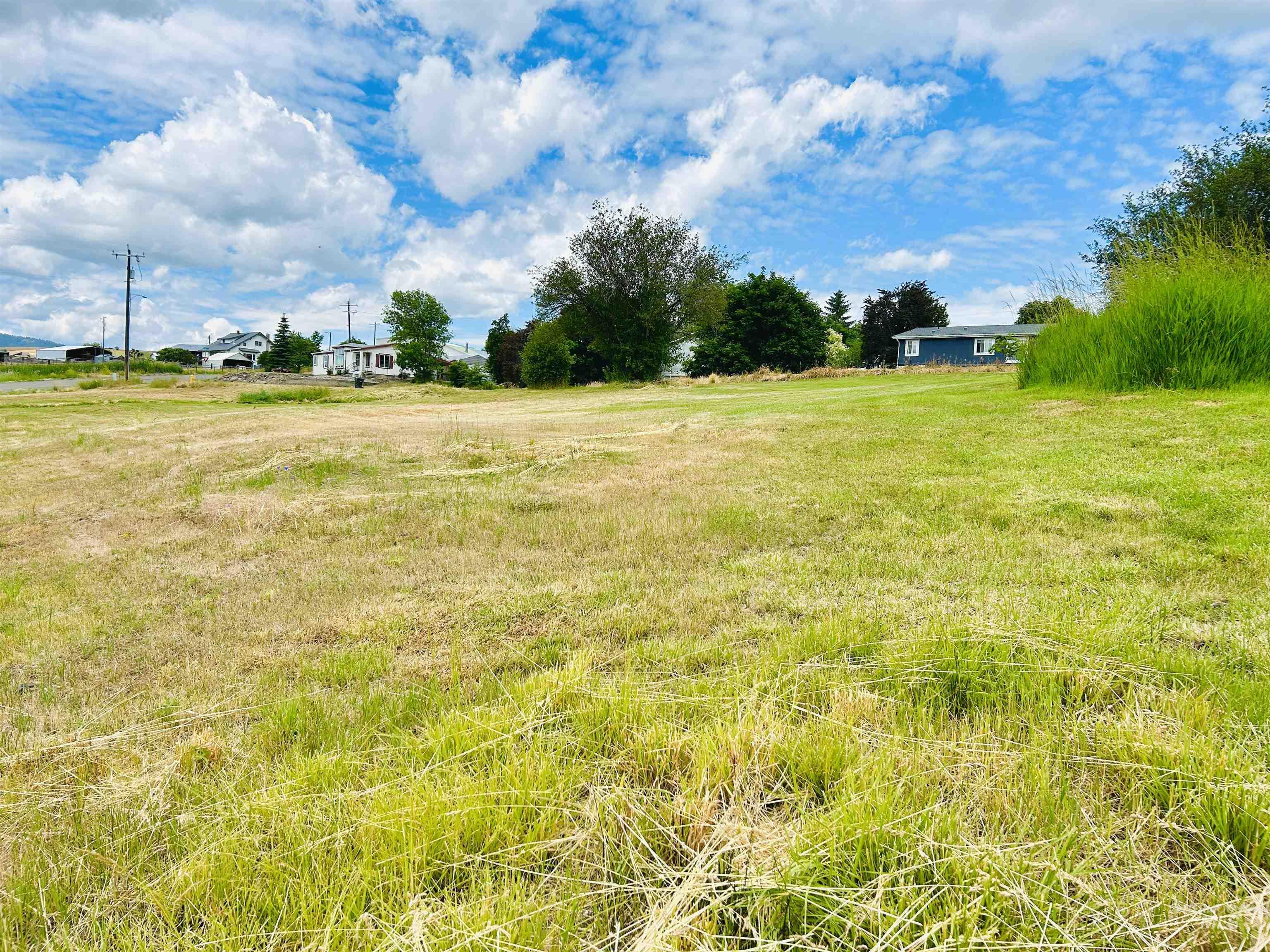 807 & 809 Trestle Drive, CottonWood, Idaho 83522, Land For Sale, Price $118,000, 98971505
