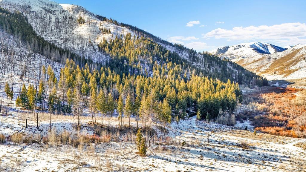 421 Deer Creek Road, Hailey, Idaho 83333, Land For Sale, Price $23,000,000,MLS 98971515