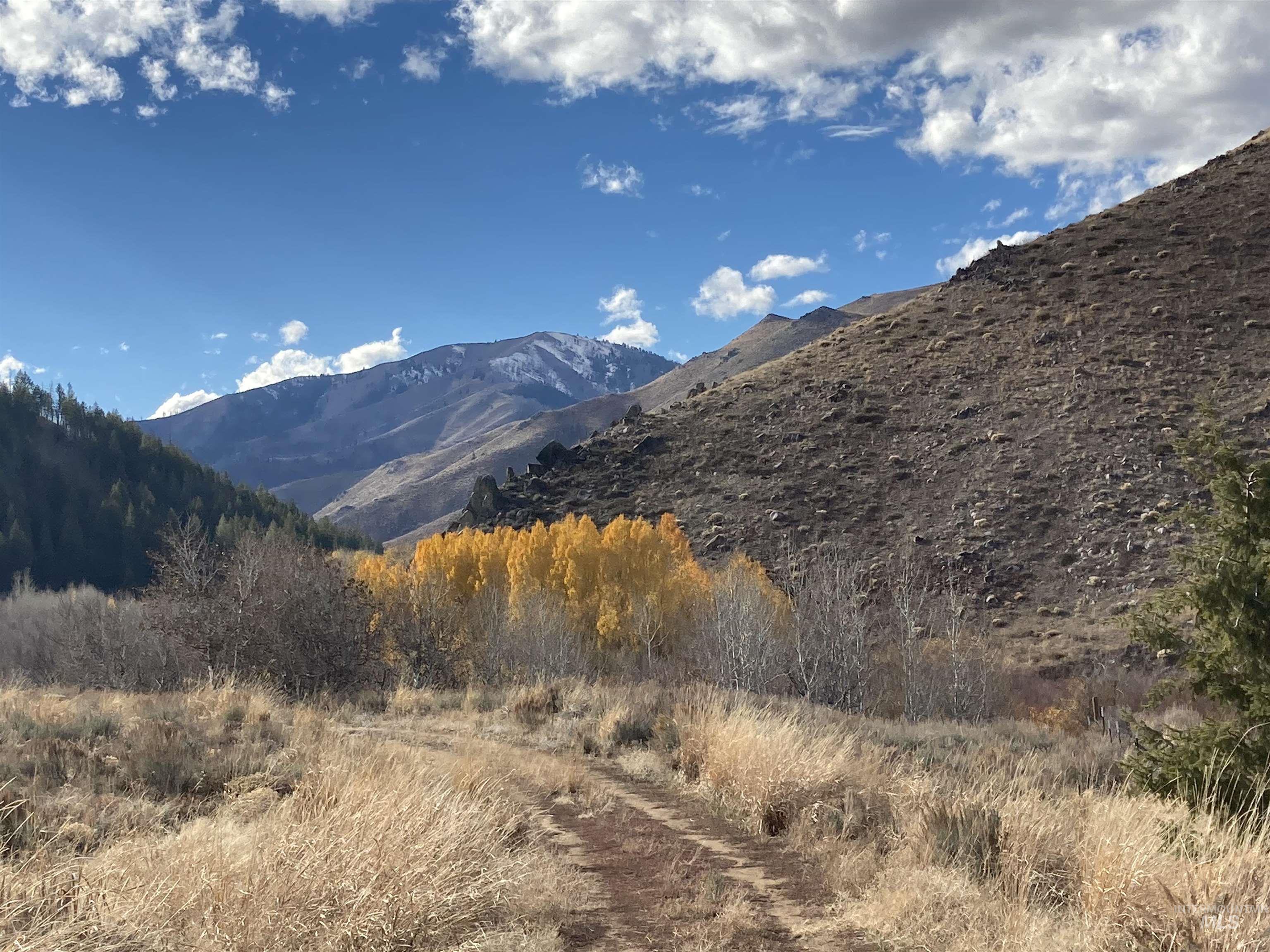 421 Deer Creek Road, Hailey, Idaho 83333, Land For Sale, Price $23,000,000,MLS 98971515