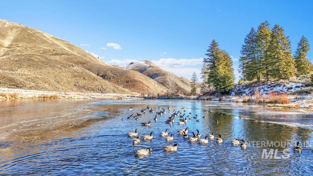 421 Deer Creek Road, Hailey, Idaho 83333, Land For Sale, Price $23,000,000,MLS 98971515