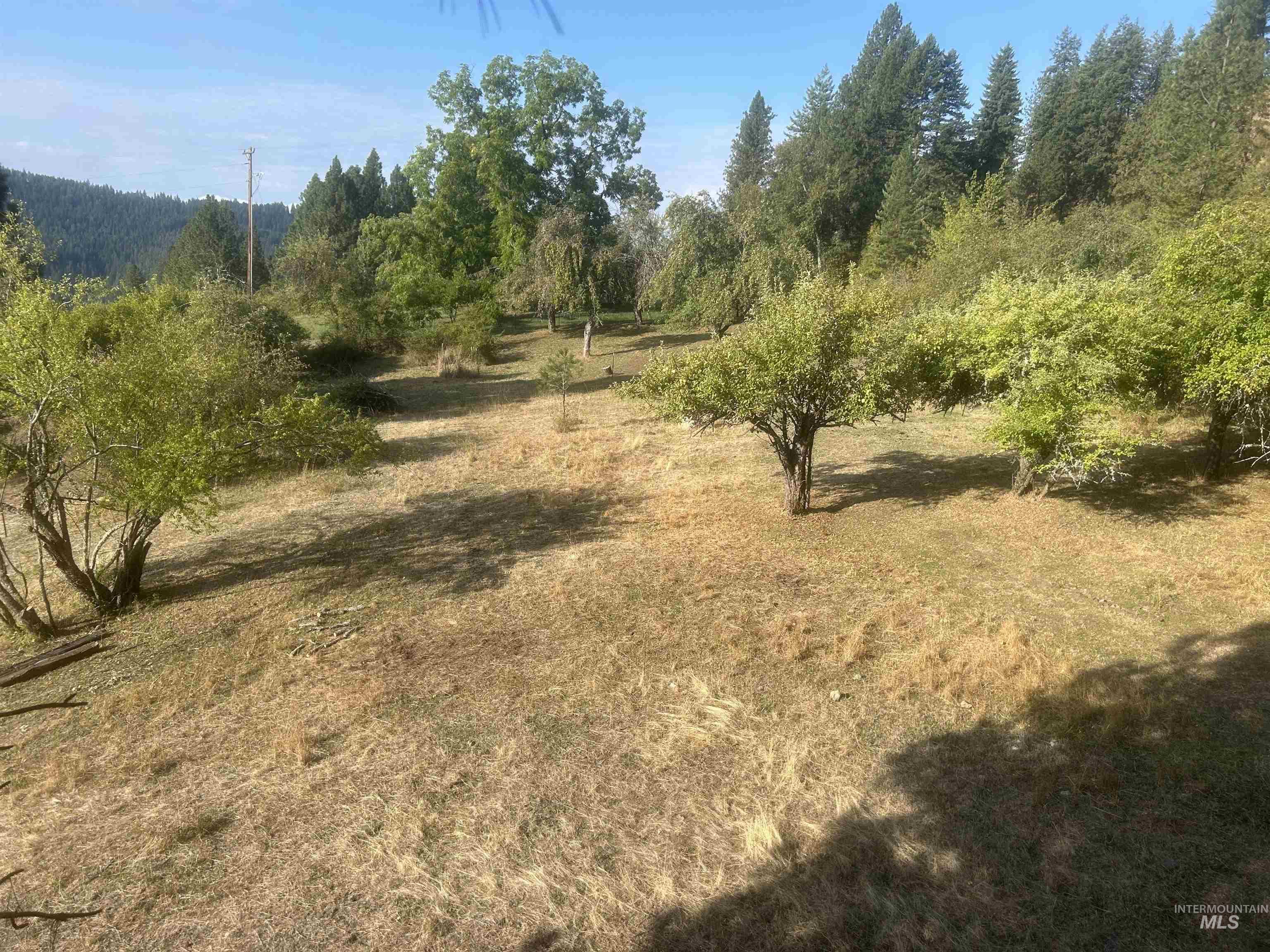 4633 Harmony Heights, Orofino, Idaho 83544, 3 Bedrooms, 1 Bathroom, Residential For Sale, Price $524,000,MLS 98971540