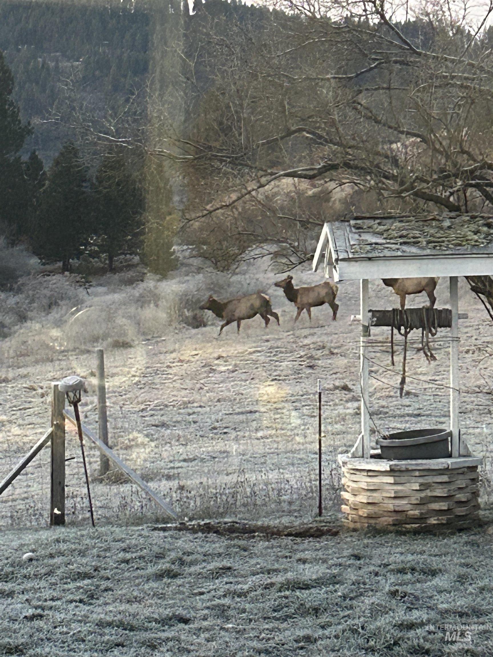 4633 Harmony Heights, Orofino, Idaho 83544, 3 Bedrooms, 1 Bathroom, Residential For Sale, Price $524,000,MLS 98971540