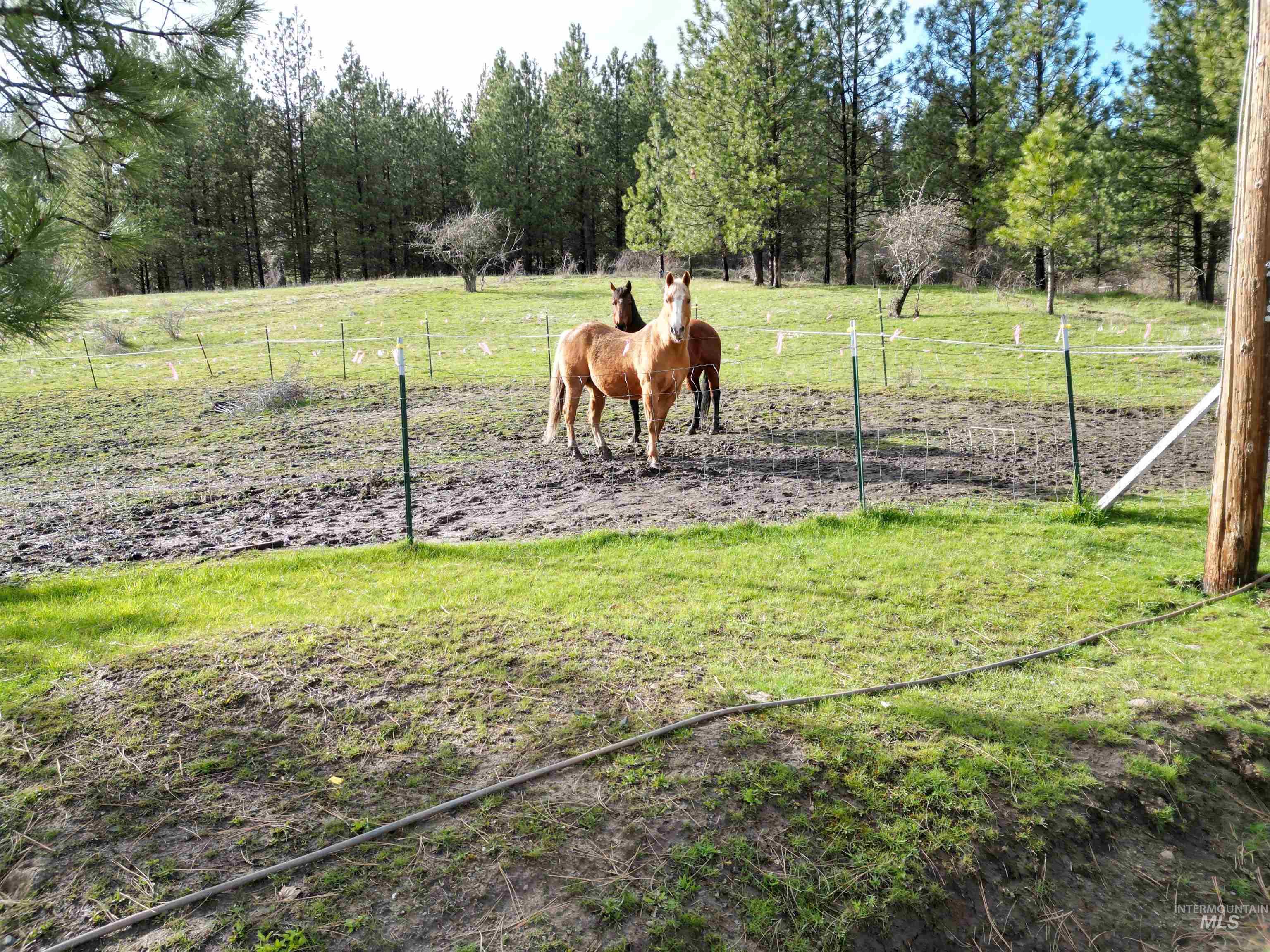 4633 Harmony Heights, Orofino, Idaho 83544, 3 Bedrooms, 1 Bathroom, Residential For Sale, Price $524,000,MLS 98971540