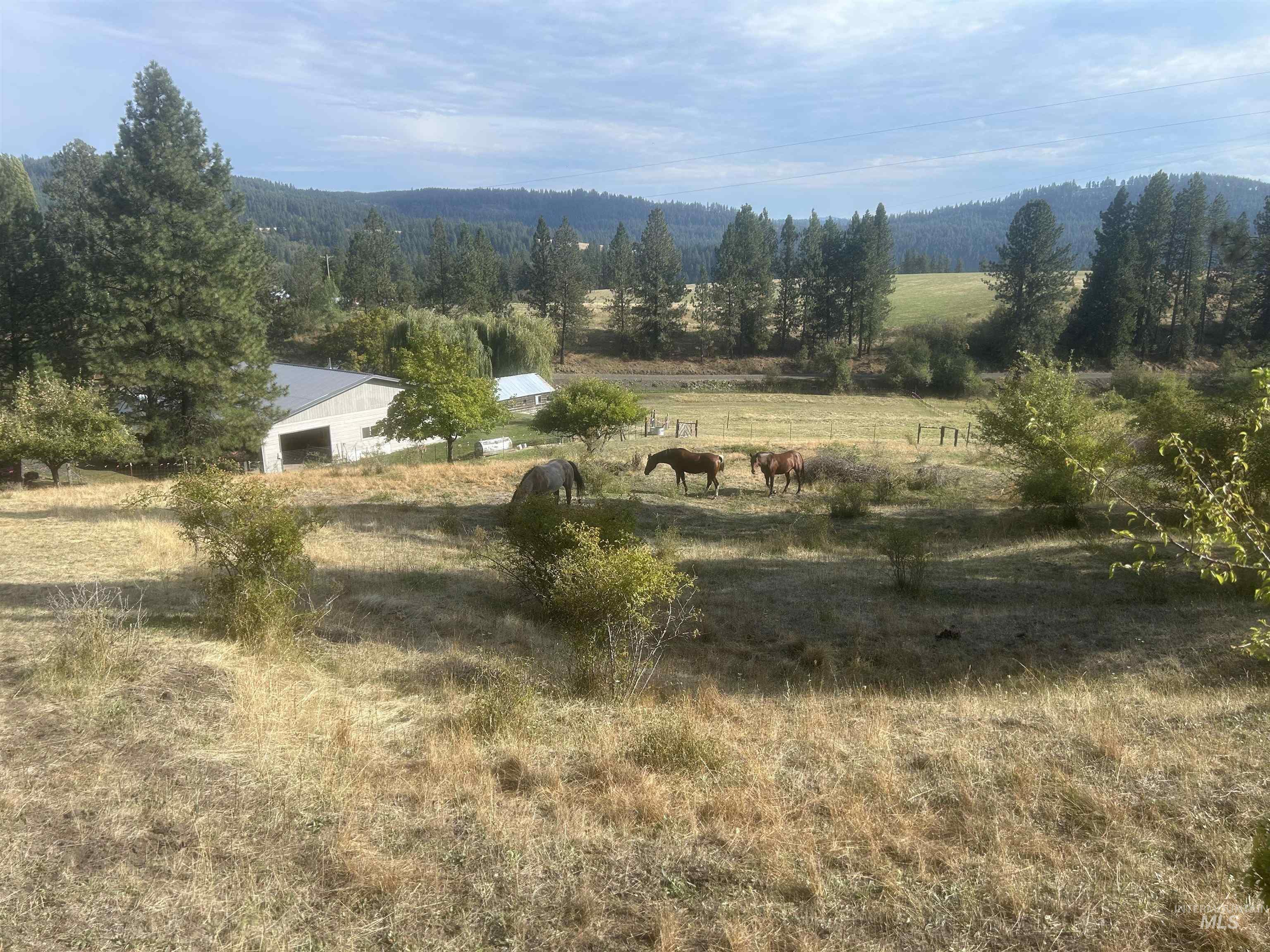 4633 Harmony Heights, Orofino, Idaho 83544, 3 Bedrooms, 1 Bathroom, Residential For Sale, Price $524,000,MLS 98971540