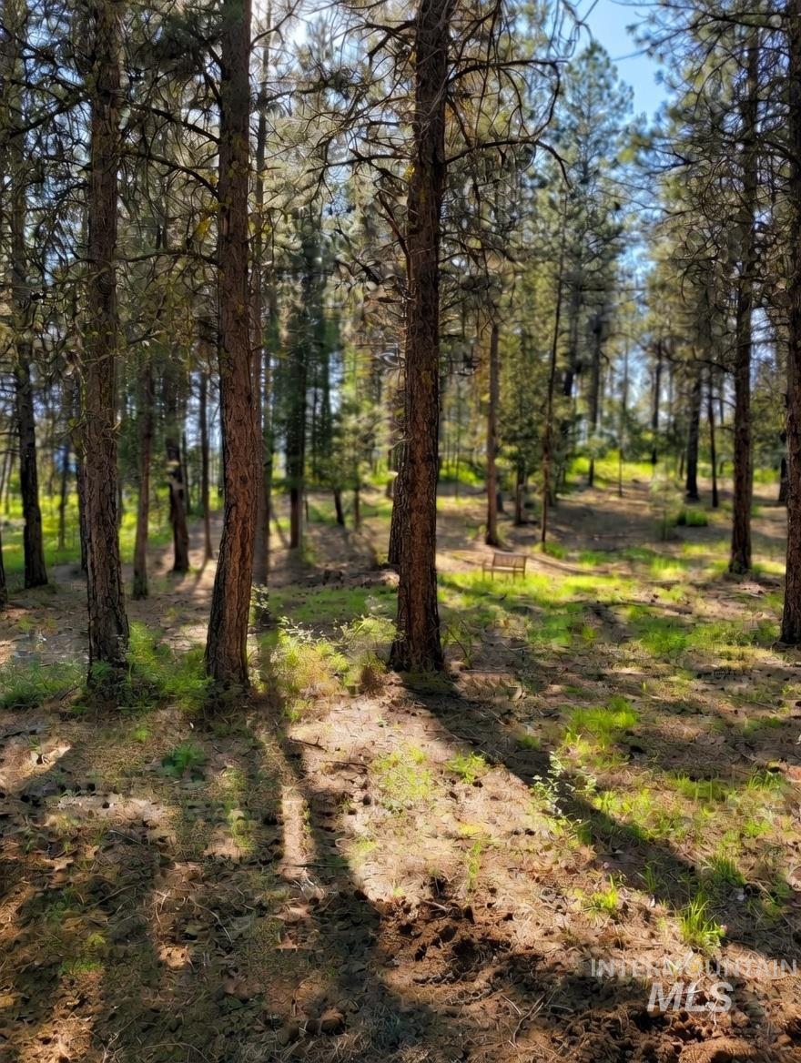Lot 13 Lewis Dr, New Meadows, Idaho 83651, Land For Sale, Price $107,000,MLS 98971545