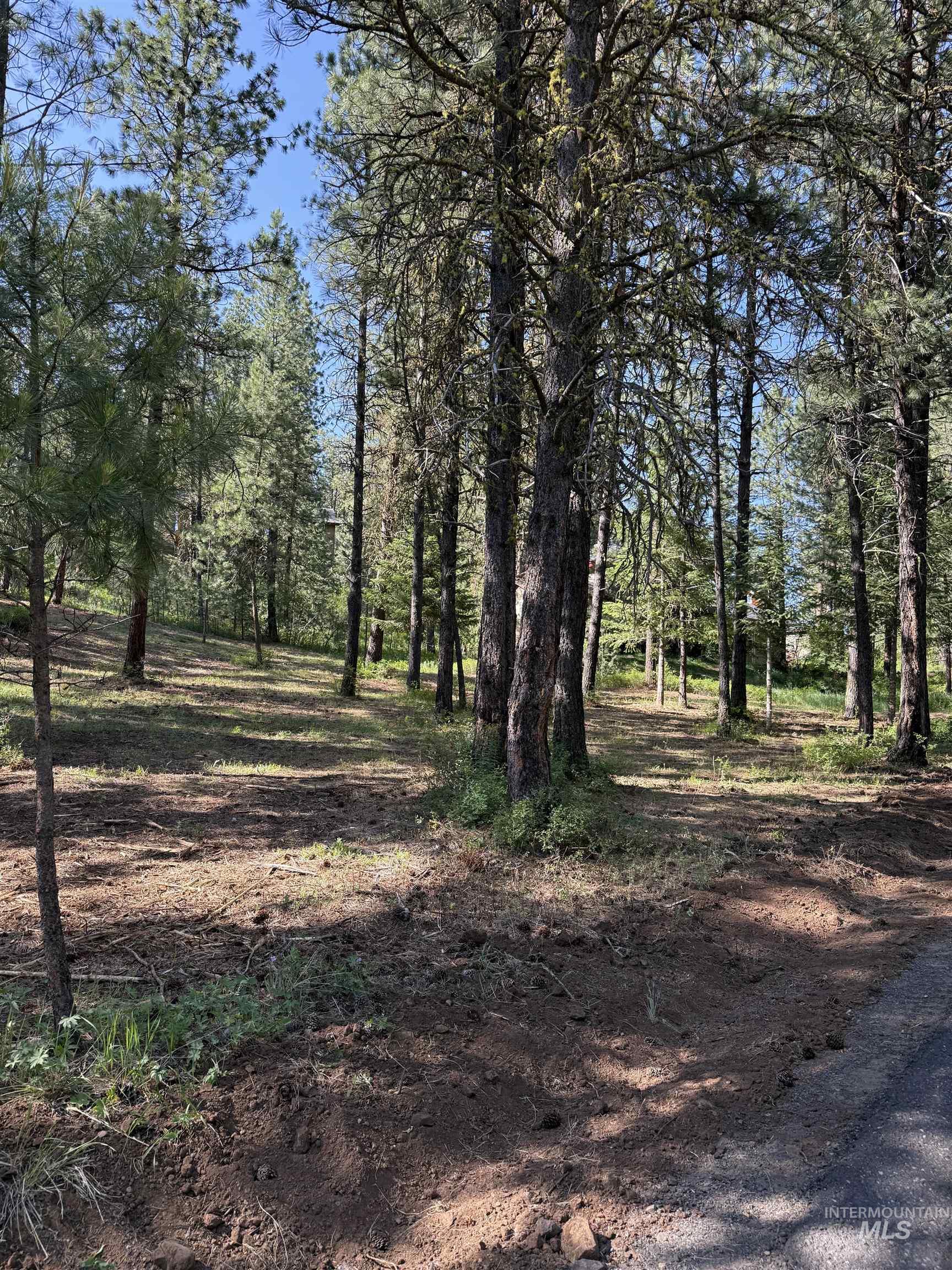 Lot 13 Lewis Dr, New Meadows, Idaho 83651, Land For Sale, Price $107,000,MLS 98971545
