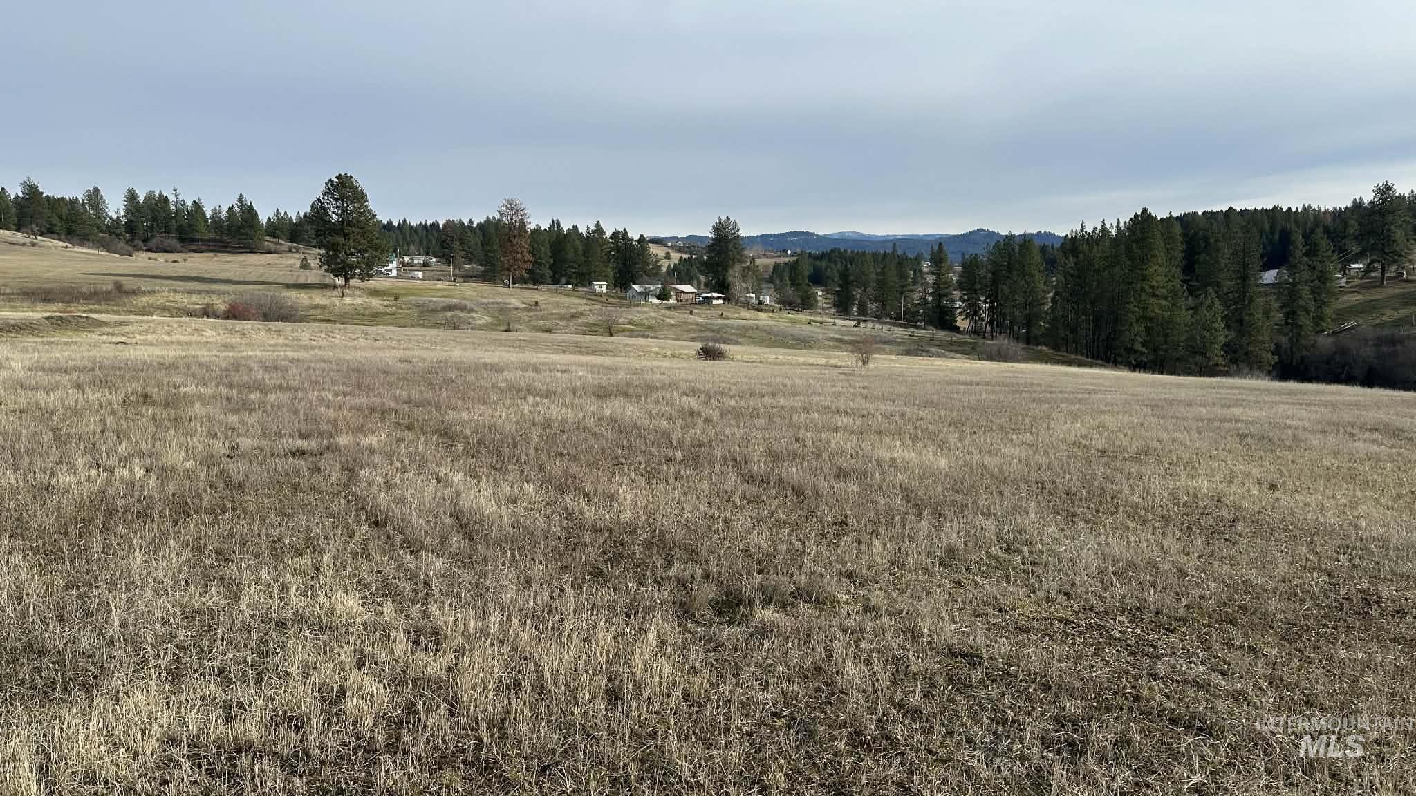 121 Sunset Dr, Kooskia, Idaho 83539, Land For Sale, Price $225,000,MLS 98971556