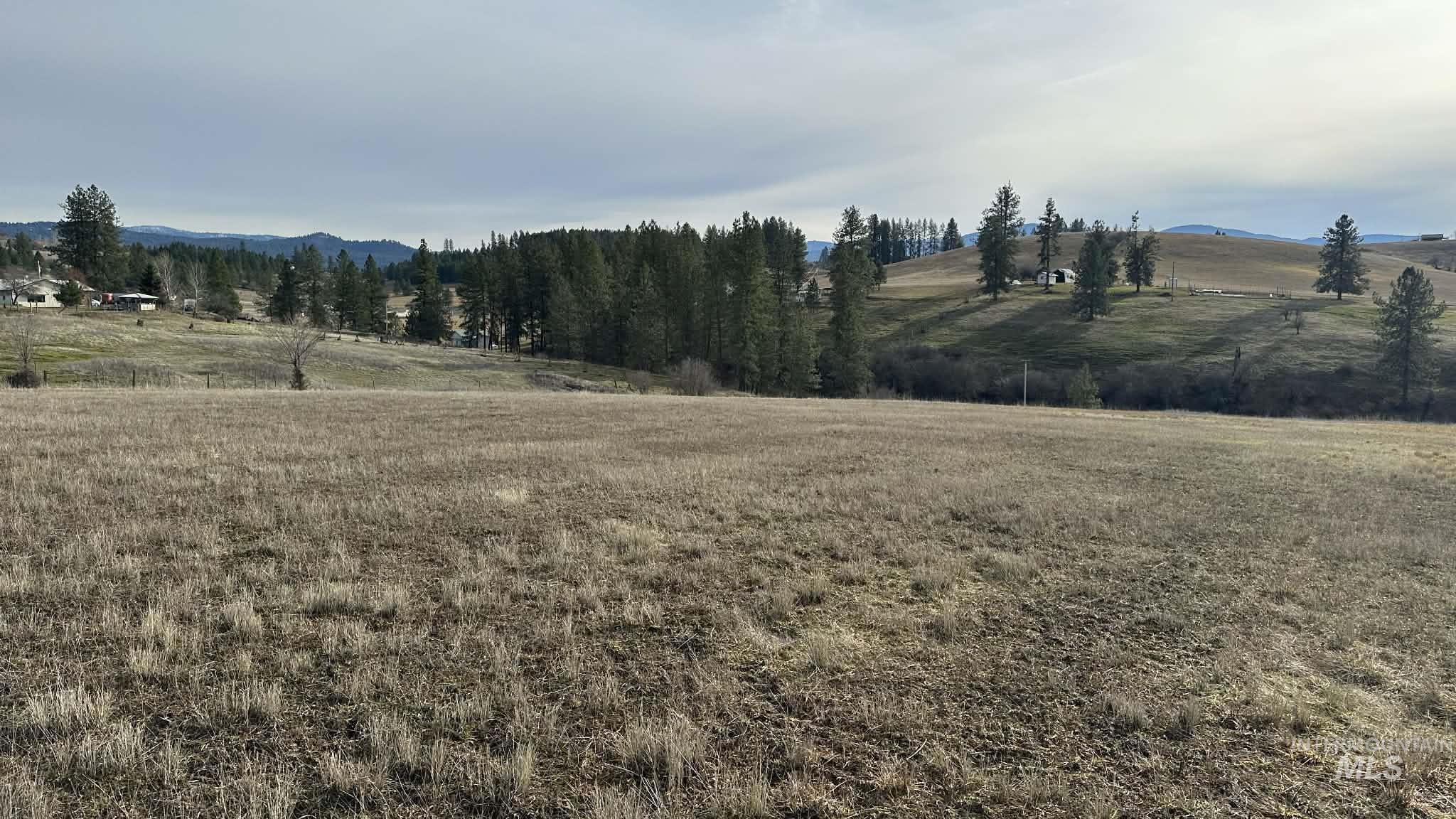 121 Sunset Dr, Kooskia, Idaho 83539, Land For Sale, Price $225,000,MLS 98971556