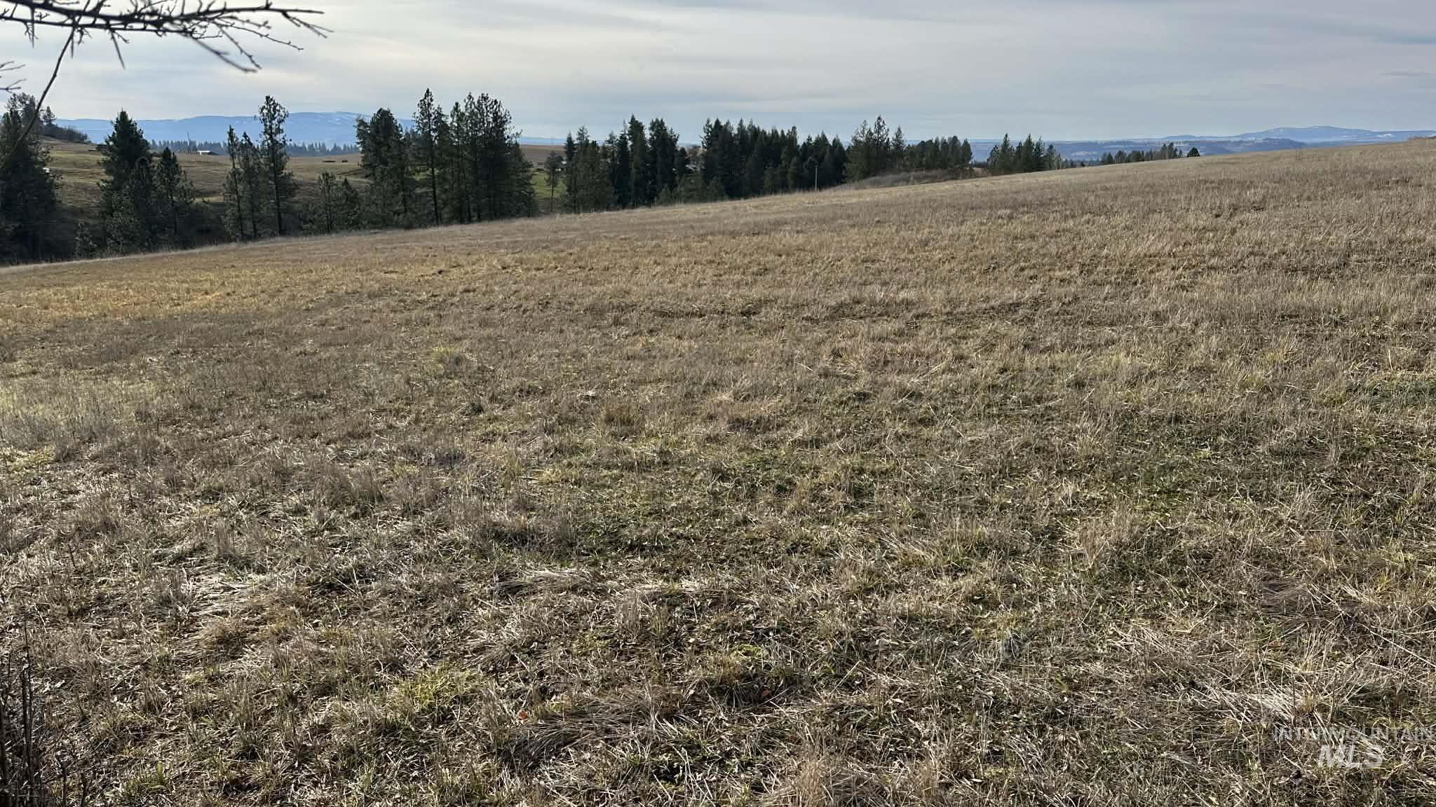 121 Sunset Dr, Kooskia, Idaho 83539, Land For Sale, Price $225,000,MLS 98971556