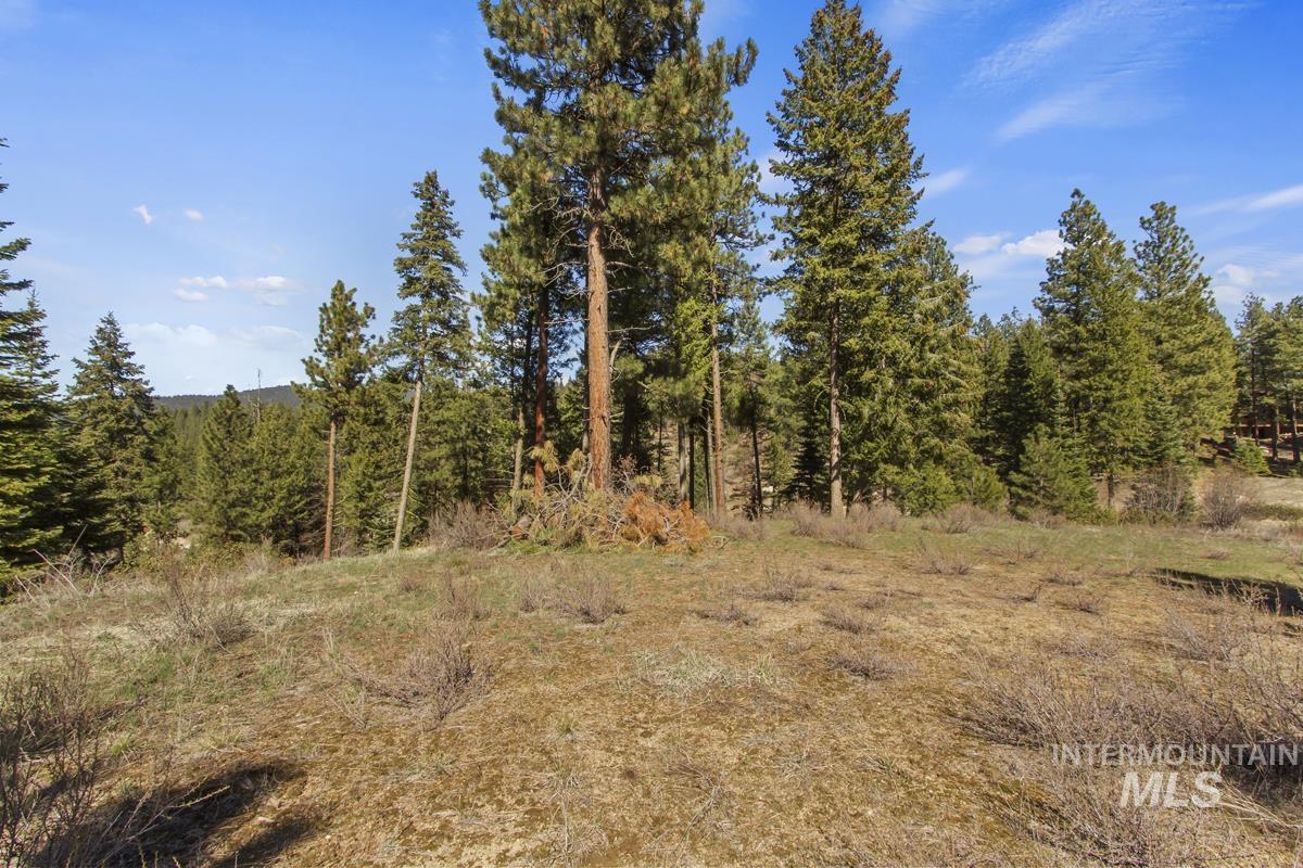 16 Sarah Way, Cascade, Idaho 83611-9999, Land For Sale, Price $145,000, 98971576
