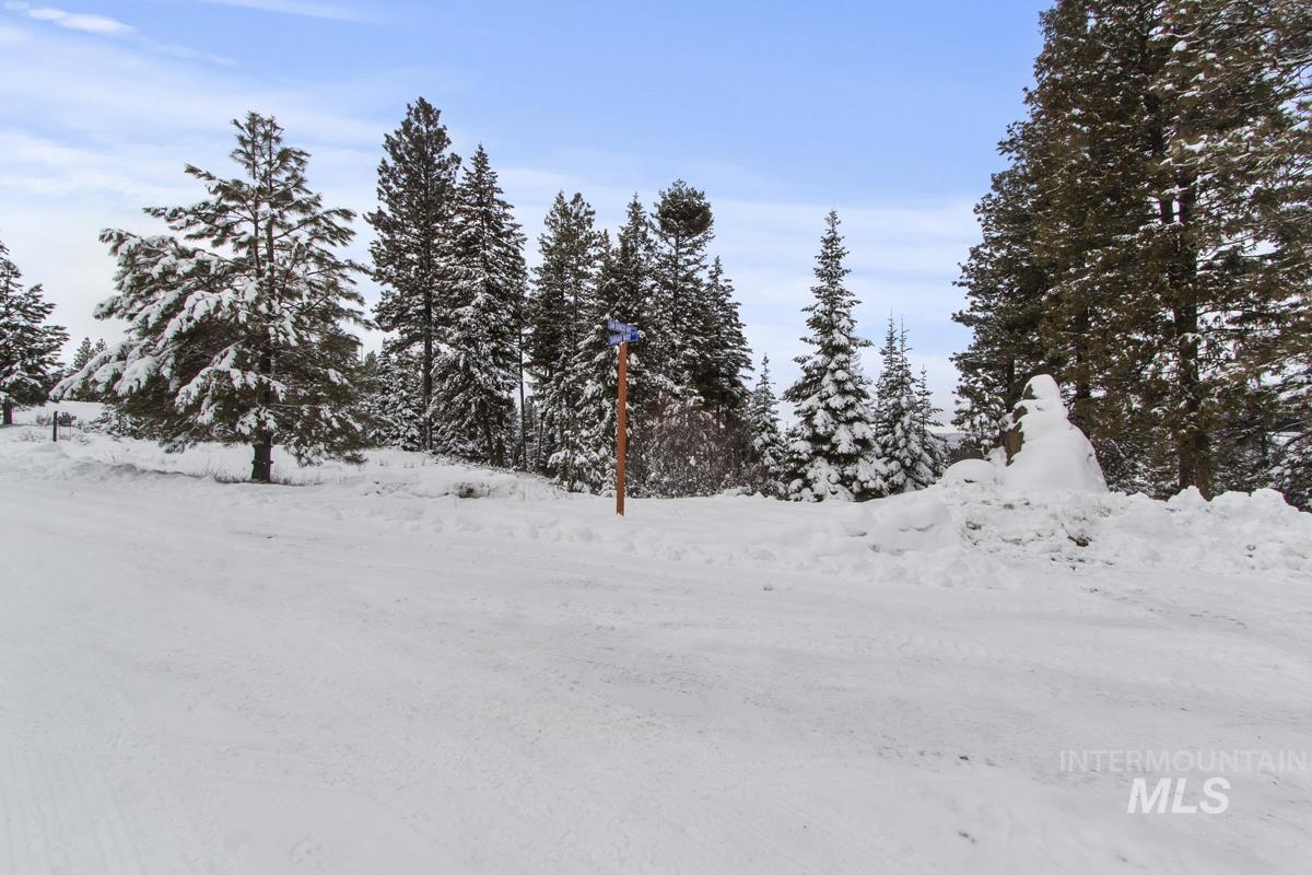16 Sarah Way, Cascade, Idaho 83611-9999, Land For Sale, Price $165,000,MLS 98971576