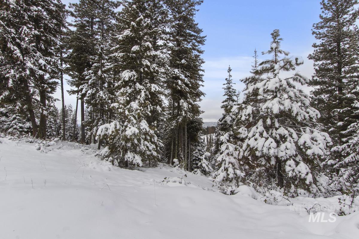 16 Sarah Way, Cascade, Idaho 83611-9999, Land For Sale, Price $165,000,MLS 98971576