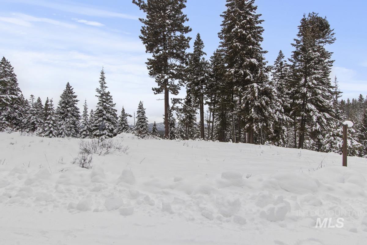 16 Sarah Way, Cascade, Idaho 83611-9999, Land For Sale, Price $165,000,MLS 98971576