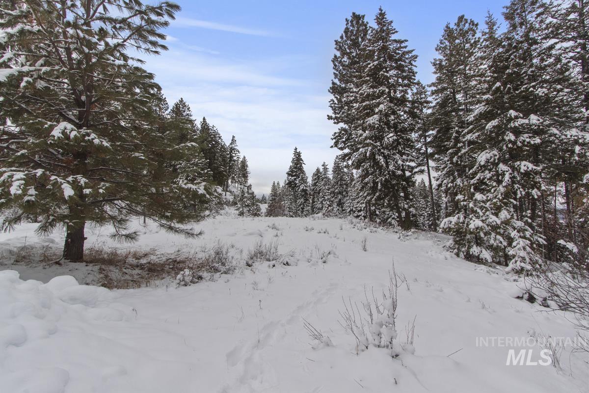 16 Sarah Way, Cascade, Idaho 83611-9999, Land For Sale, Price $145,000, 98971576
