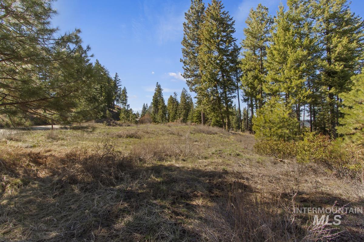 16 Sarah Way, Cascade, Idaho 83611-9999, Land For Sale, Price $145,000, 98971576