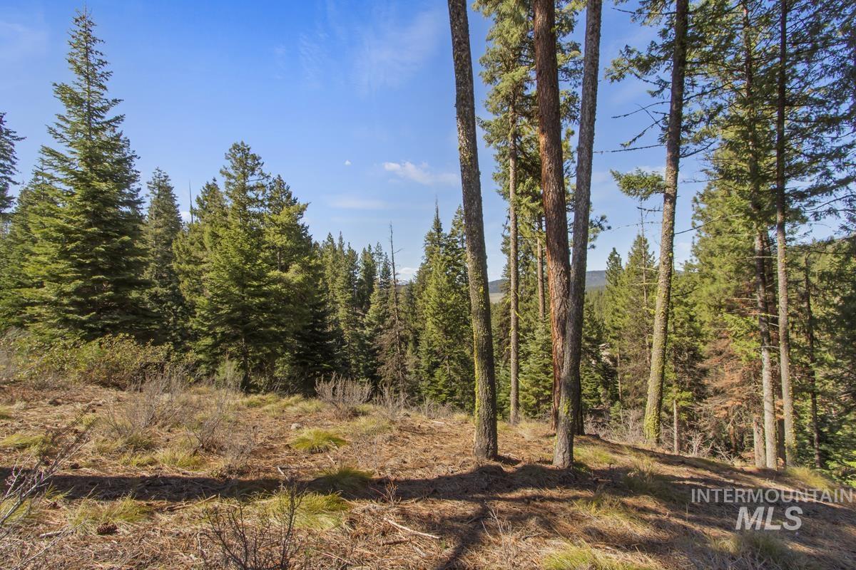 16 Sarah Way, Cascade, Idaho 83611-9999, Land For Sale, Price $145,000, 98971576