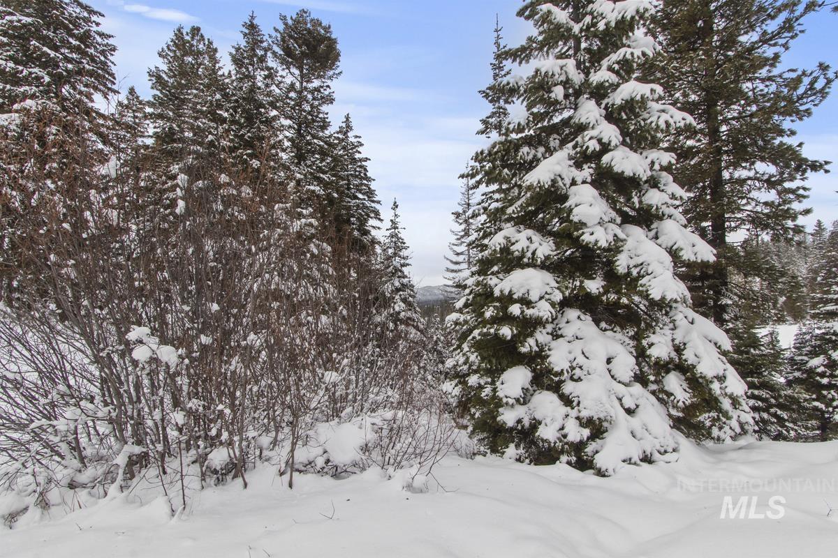 16 Sarah Way, Cascade, Idaho 83611-9999, Land For Sale, Price $165,000,MLS 98971576