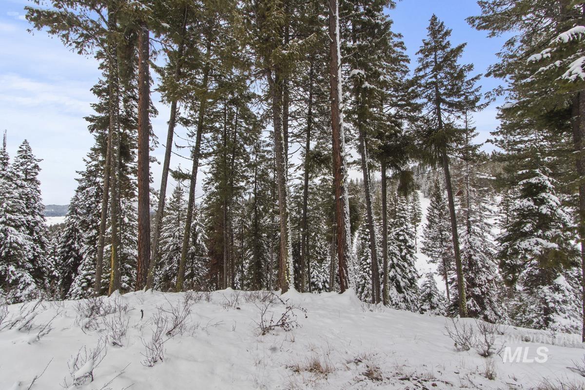 16 Sarah Way, Cascade, Idaho 83611-9999, Land For Sale, Price $165,000,MLS 98971576